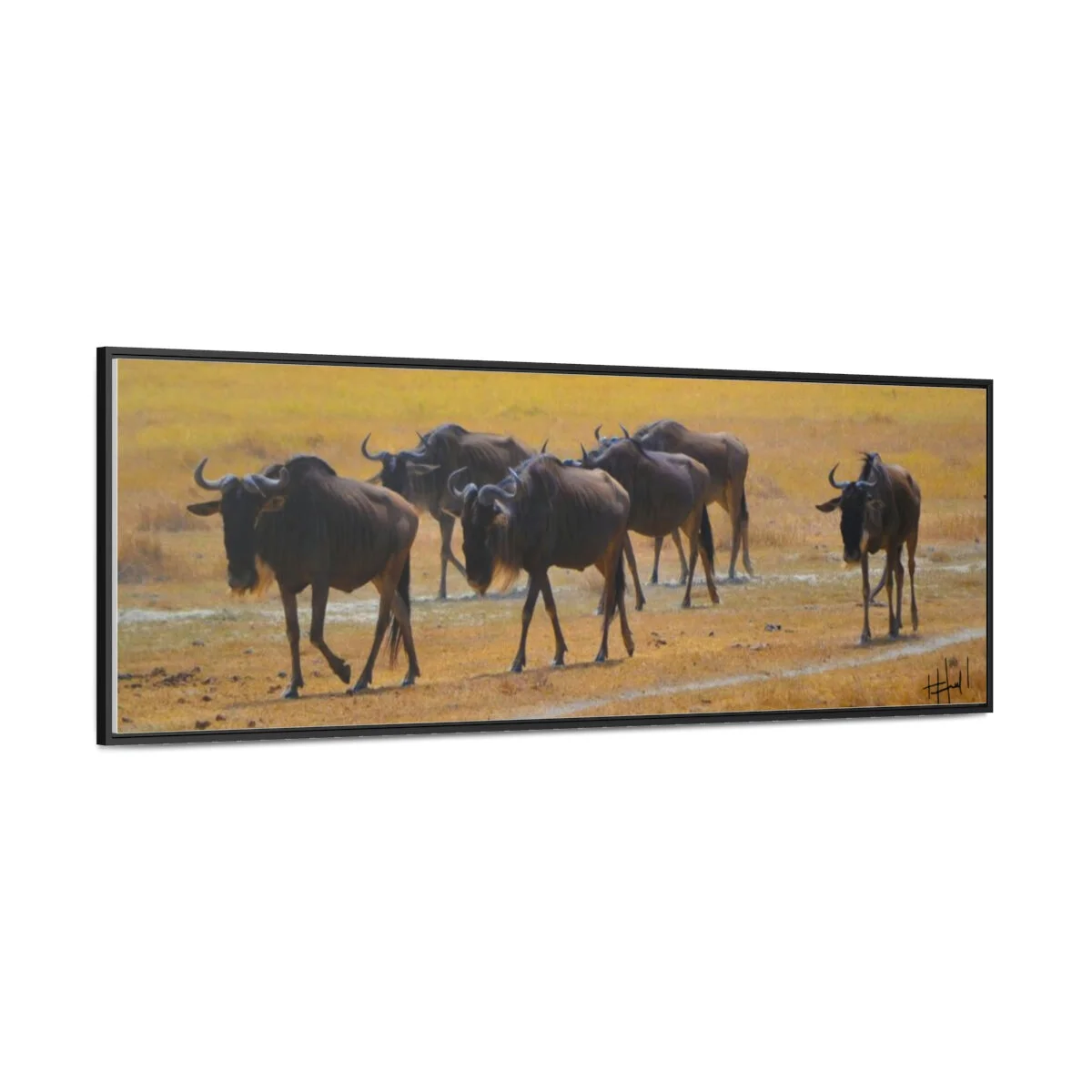 f16ab019ca04bc6c81892b7e2357b9b9