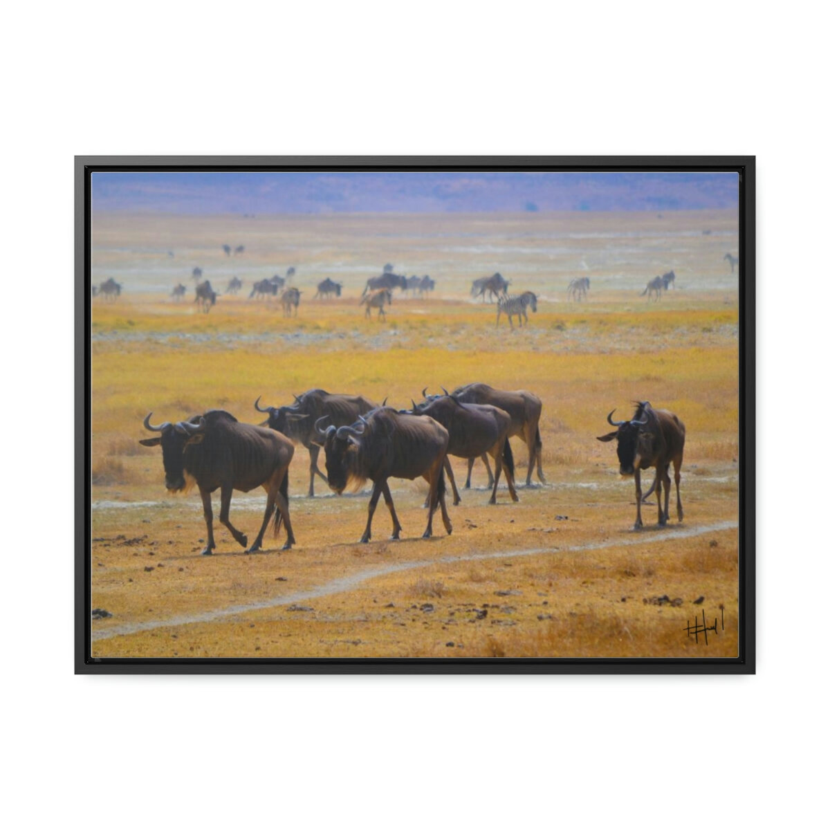 225d9345550795c5827a0eff3f79362d