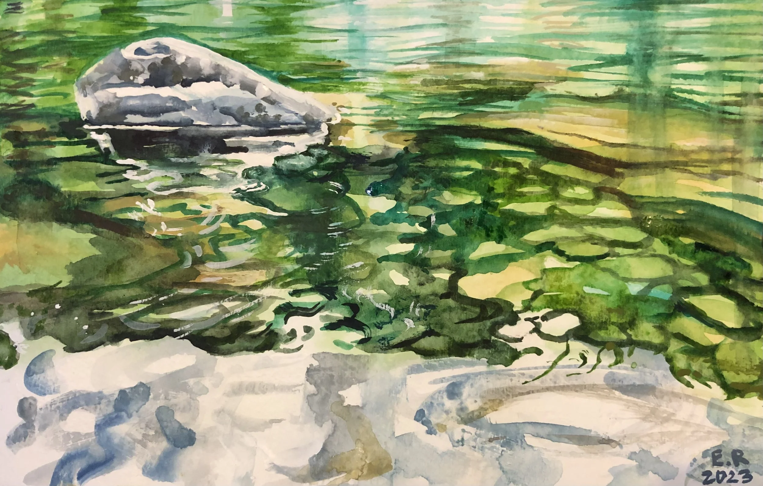 Rock in creek