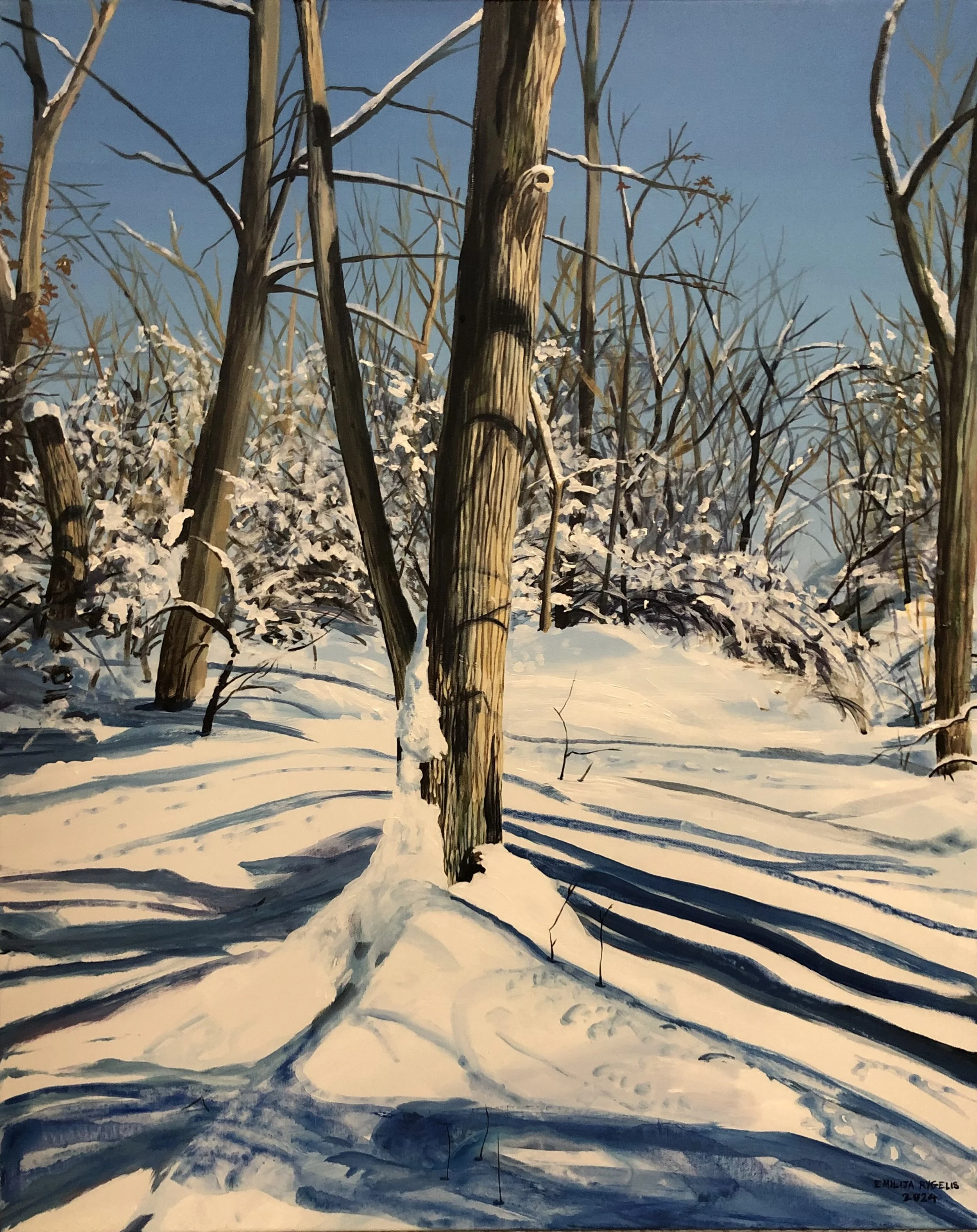 Snow at Stuyvesant Falls