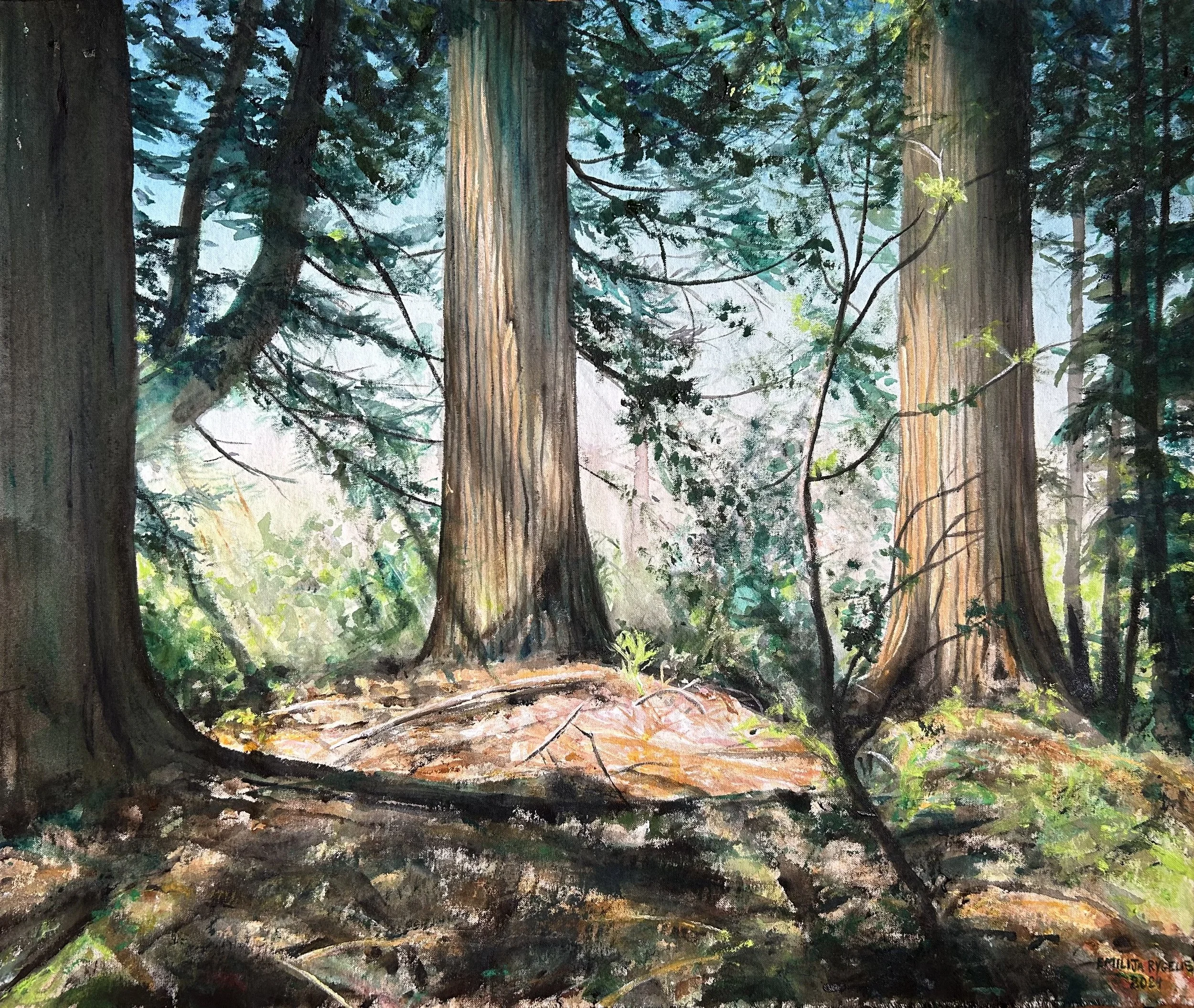 Redwoods, unprimed canvas