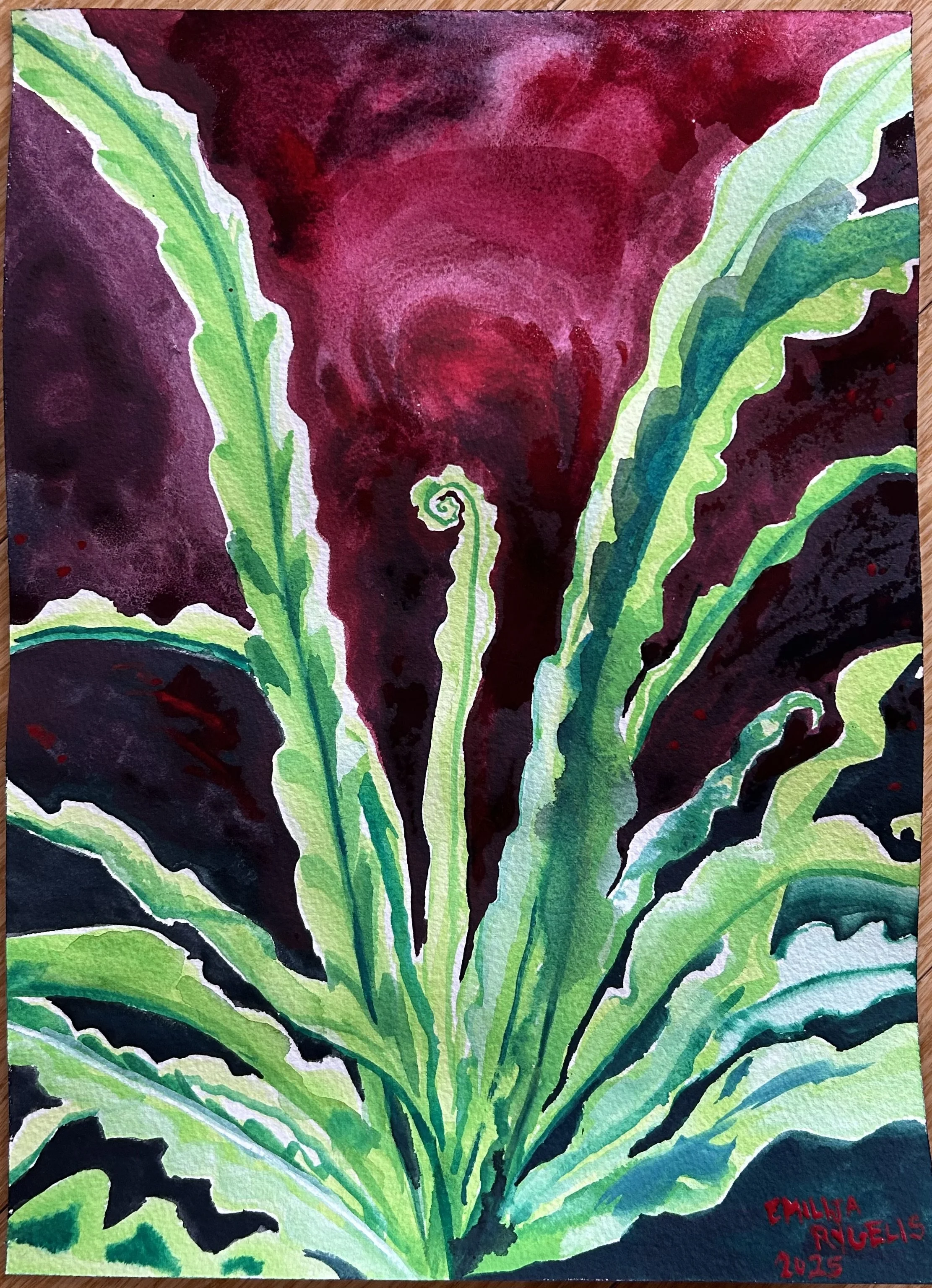 Fern