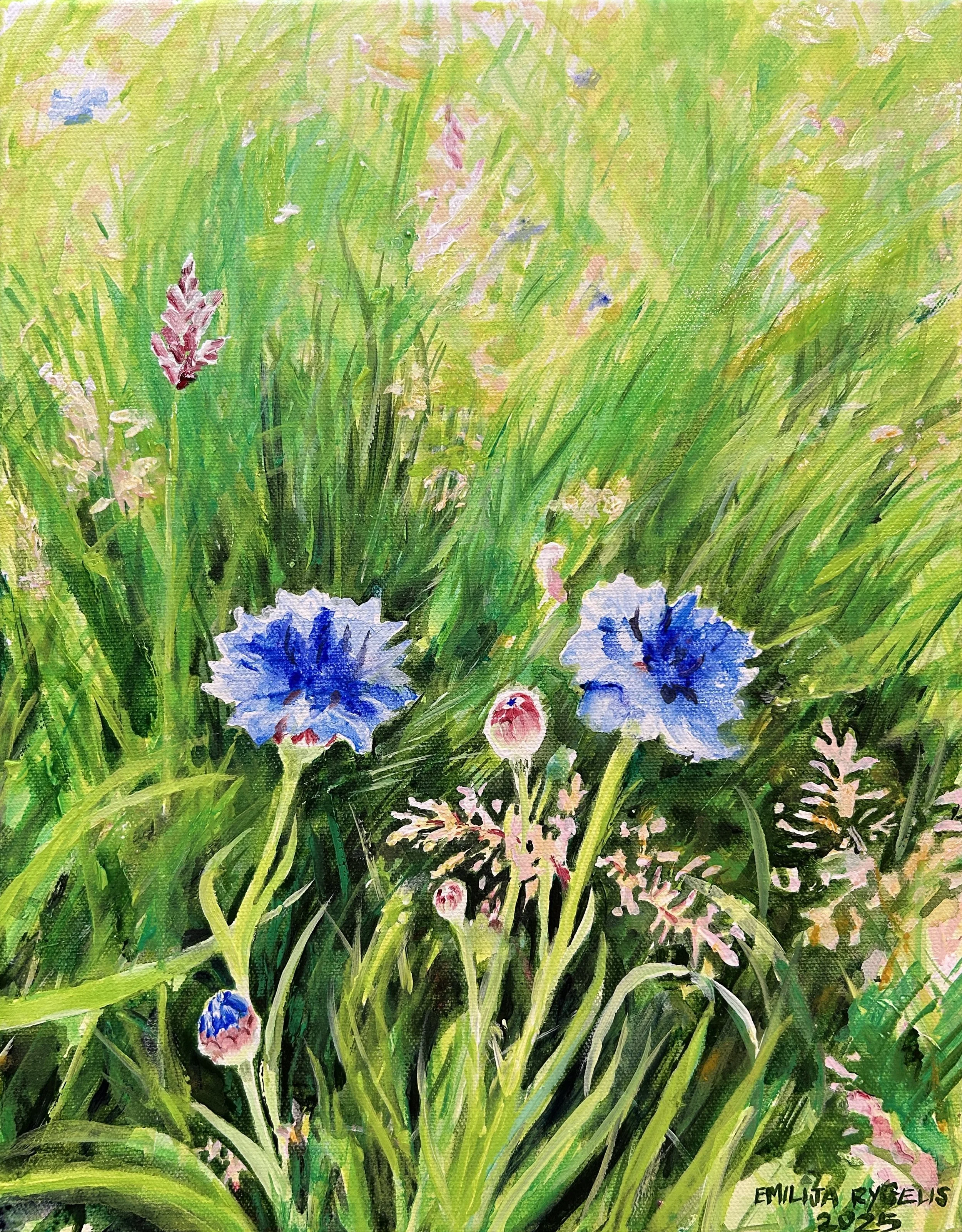 Wildflowers