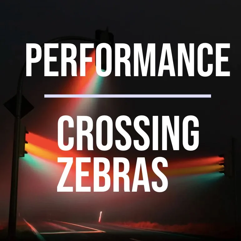 Performance Crossing Zebras at Theater de Nieuwe Vorst
