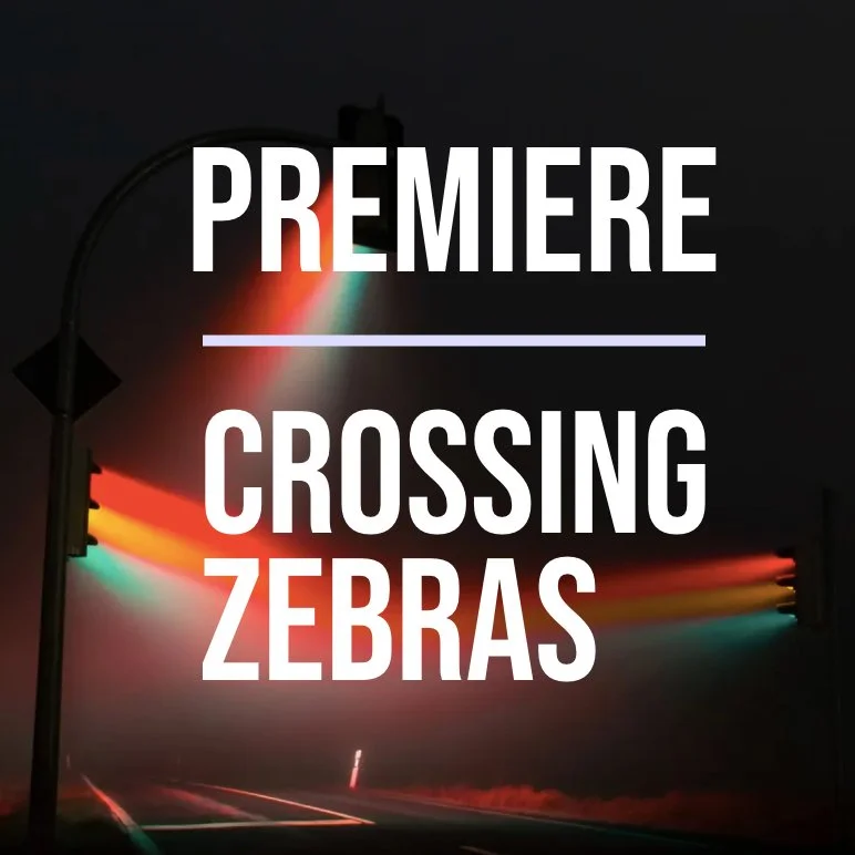 Premiere Crossing Zebras at Theater de Nieuwe Vorst
