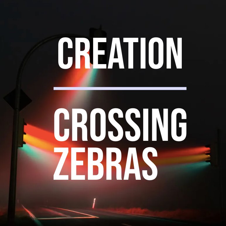 Creation Crossing Zebras - Fontys, Tilburg