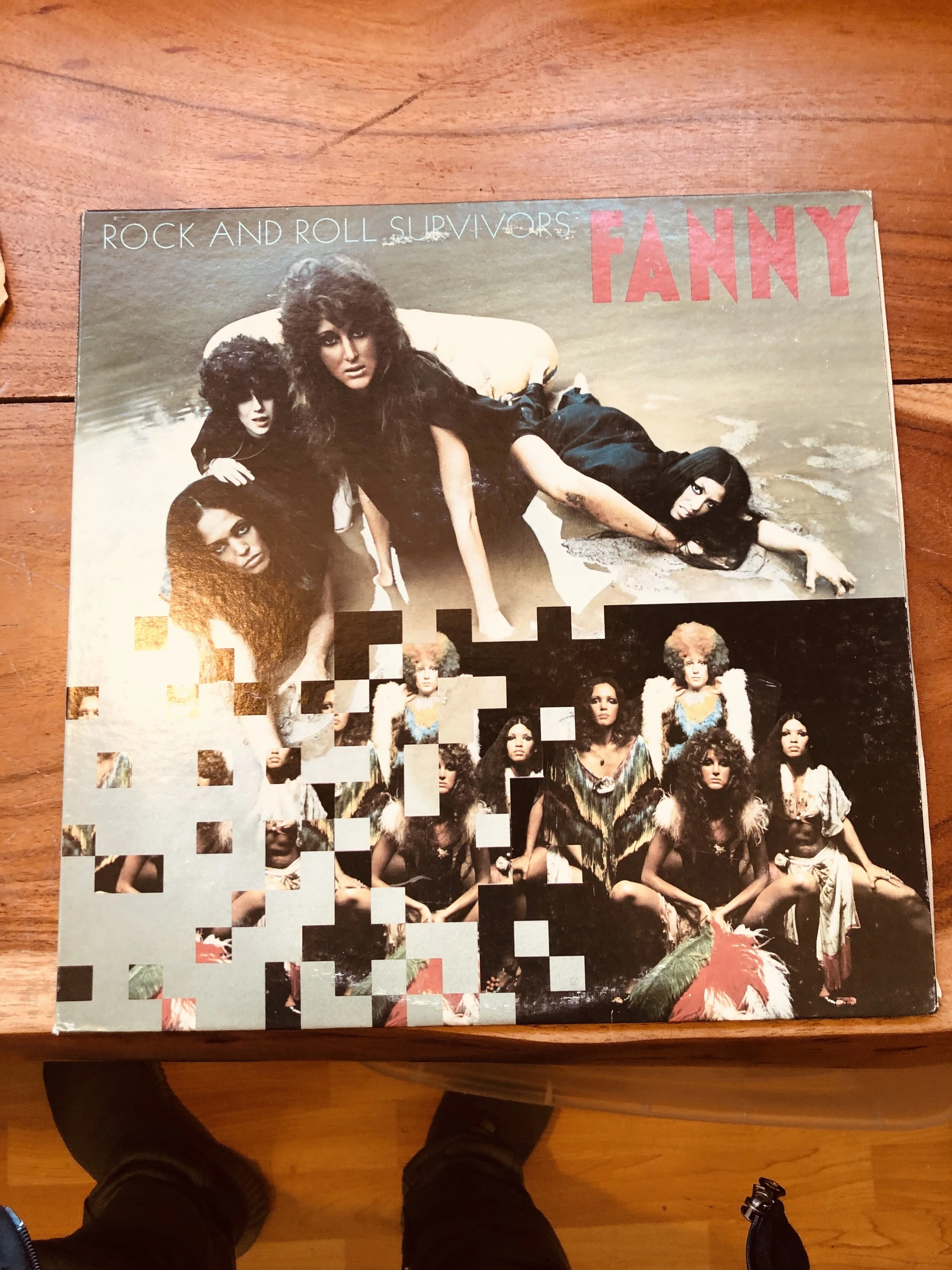 Fanny - Rock and Roll Survivors