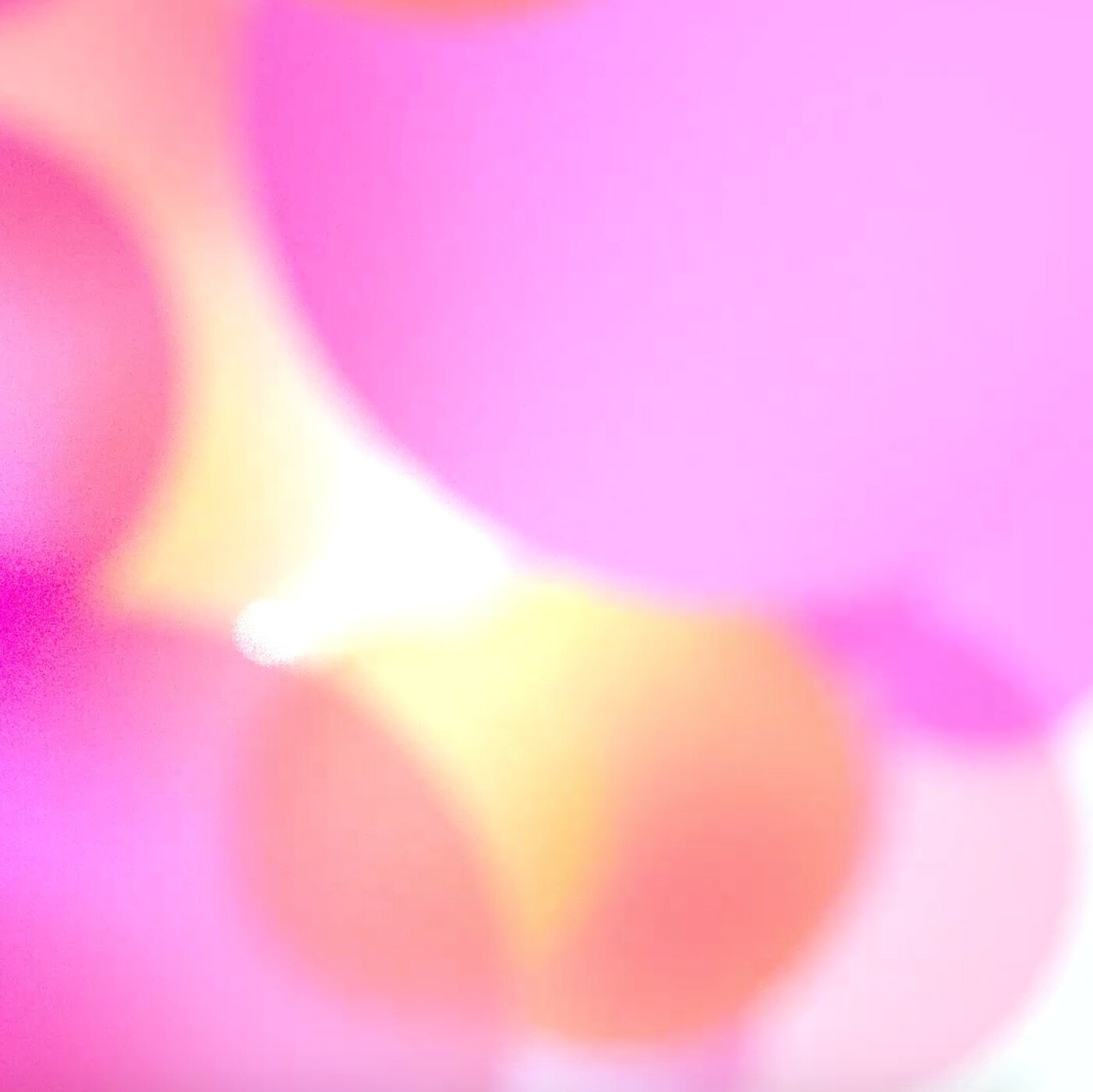 Screen+Shot+2020-01-17+at+10.18.31+AM.jpg