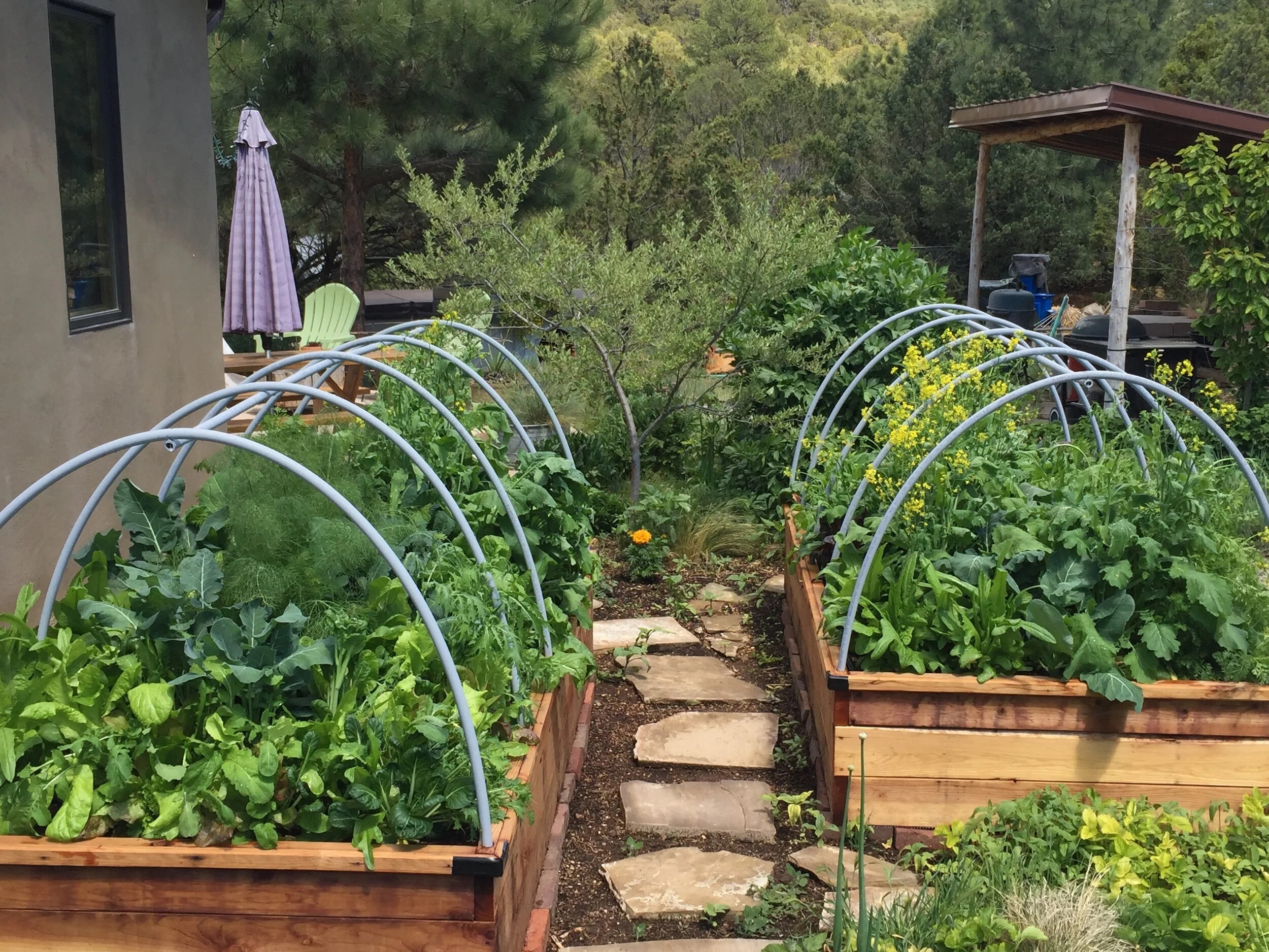 Permaculture Homestead