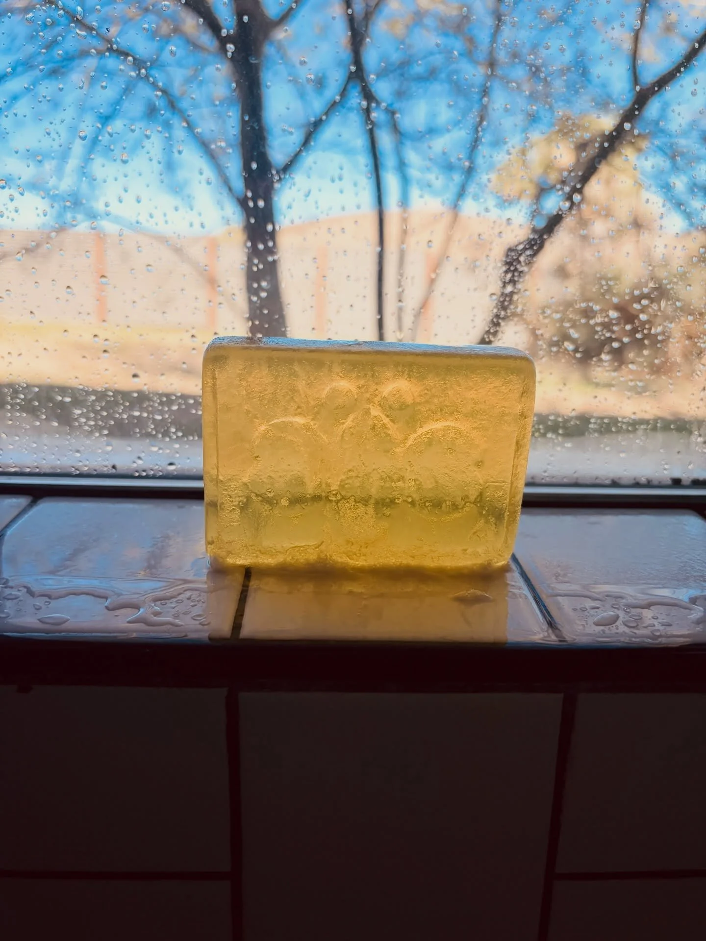 Morning Vibe Check&hellip;

How did you start your morning?