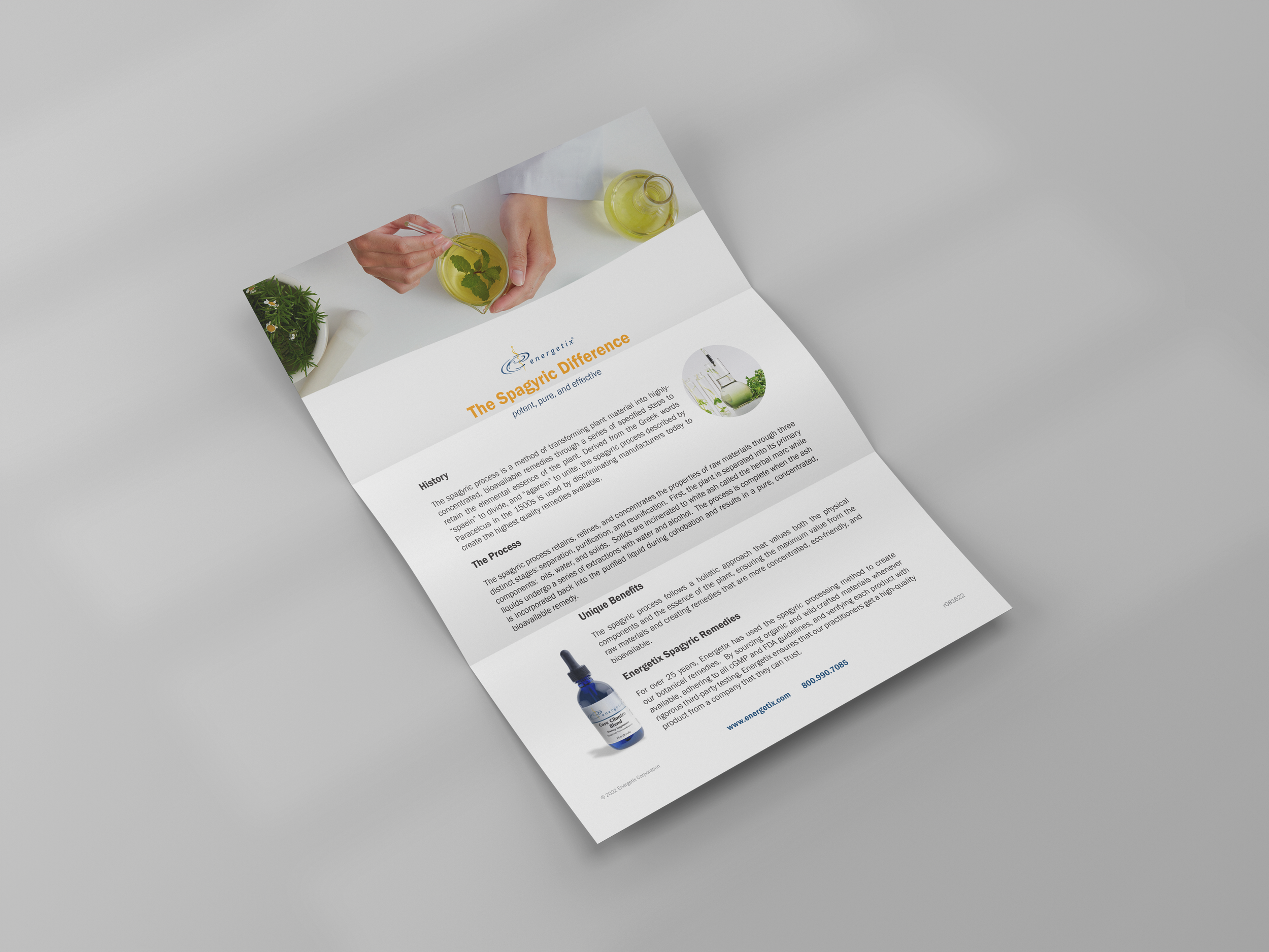 The Spagyric Difference Flyer_.png