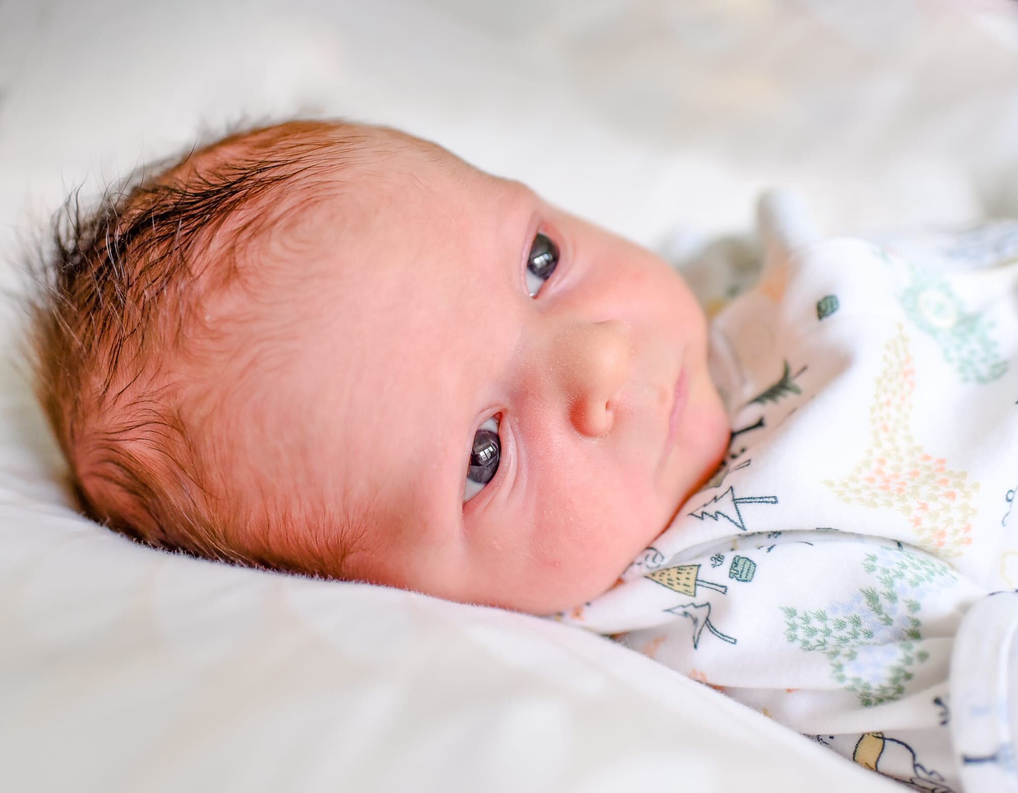 Maryland Newborn Photographer - close-up portrait of baby