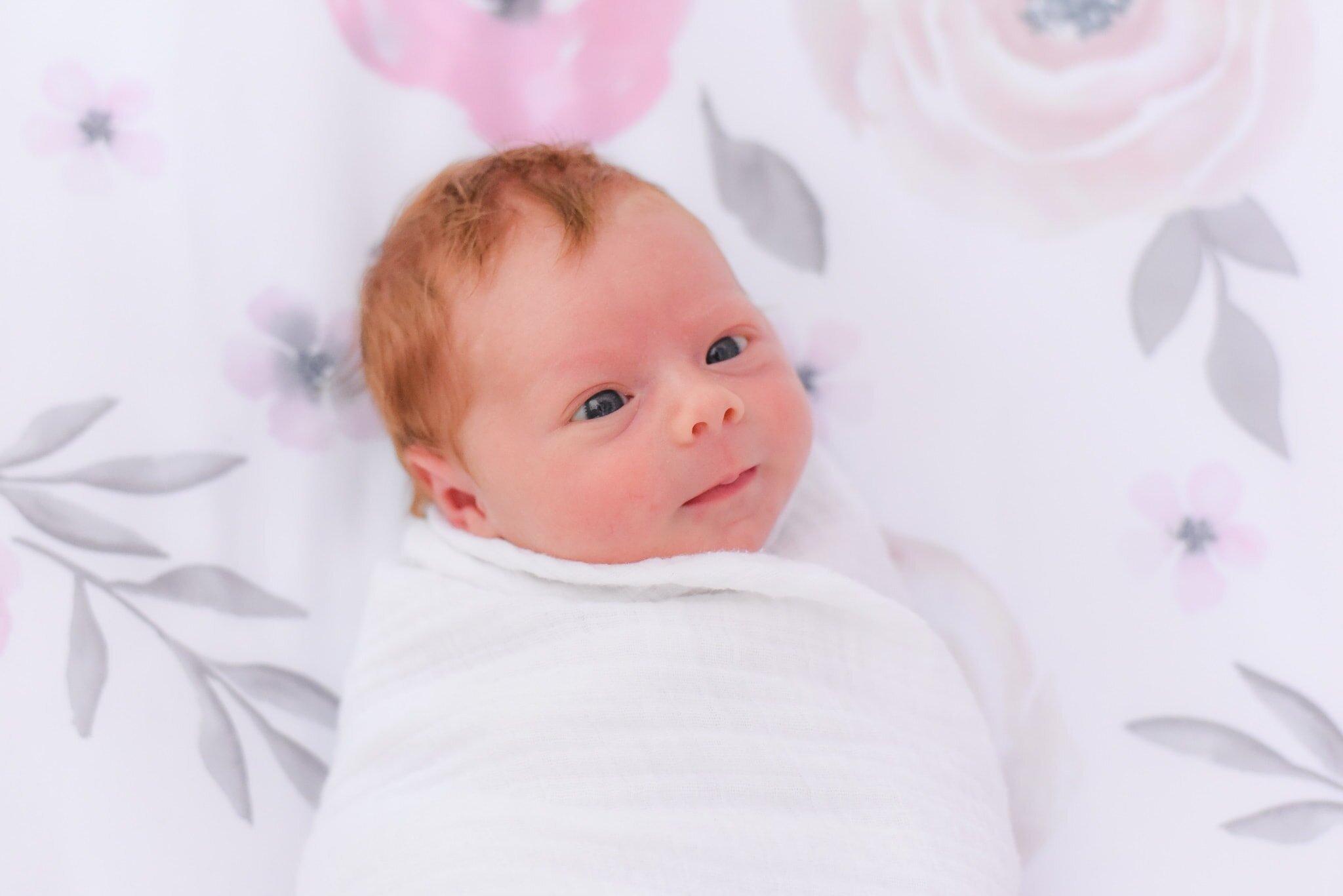 Maryland Newborn Photographer - baby photo in a crib