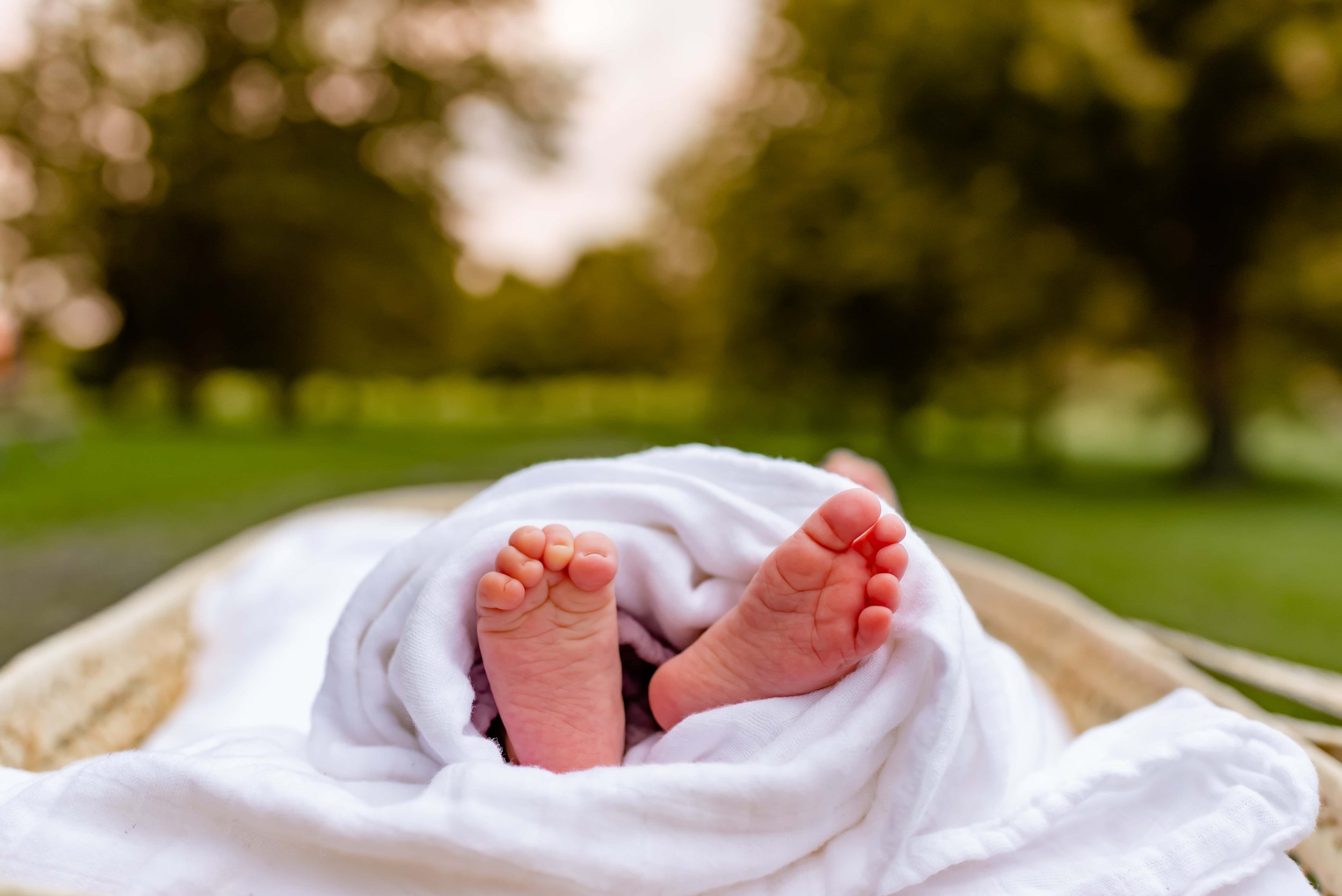 Maryland newborn photographer close-up of baby feet