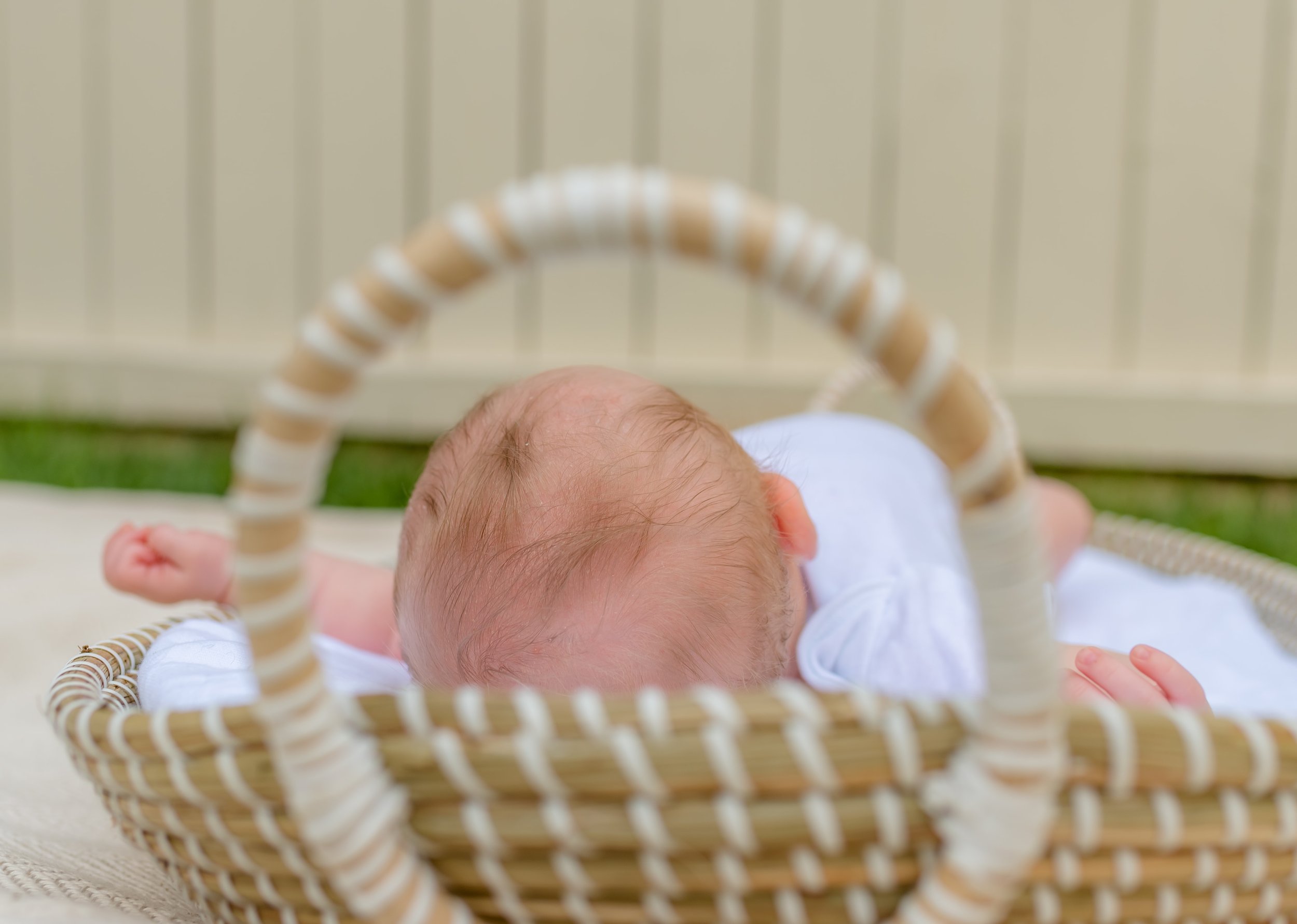Maryland newborn in a basket in the backyard