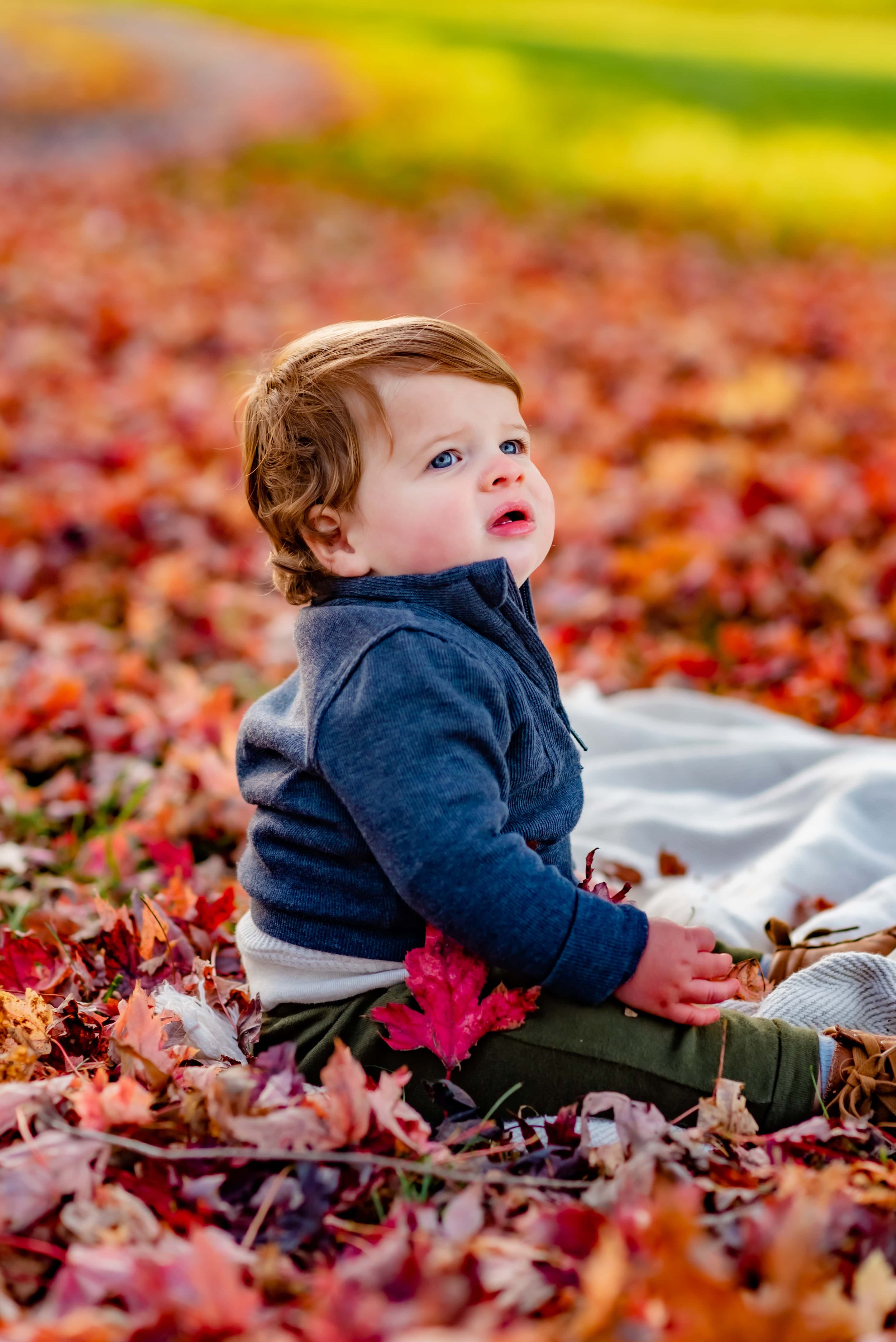 Maryland Fall Family Photo - Toddler Boy Sitting Leaves