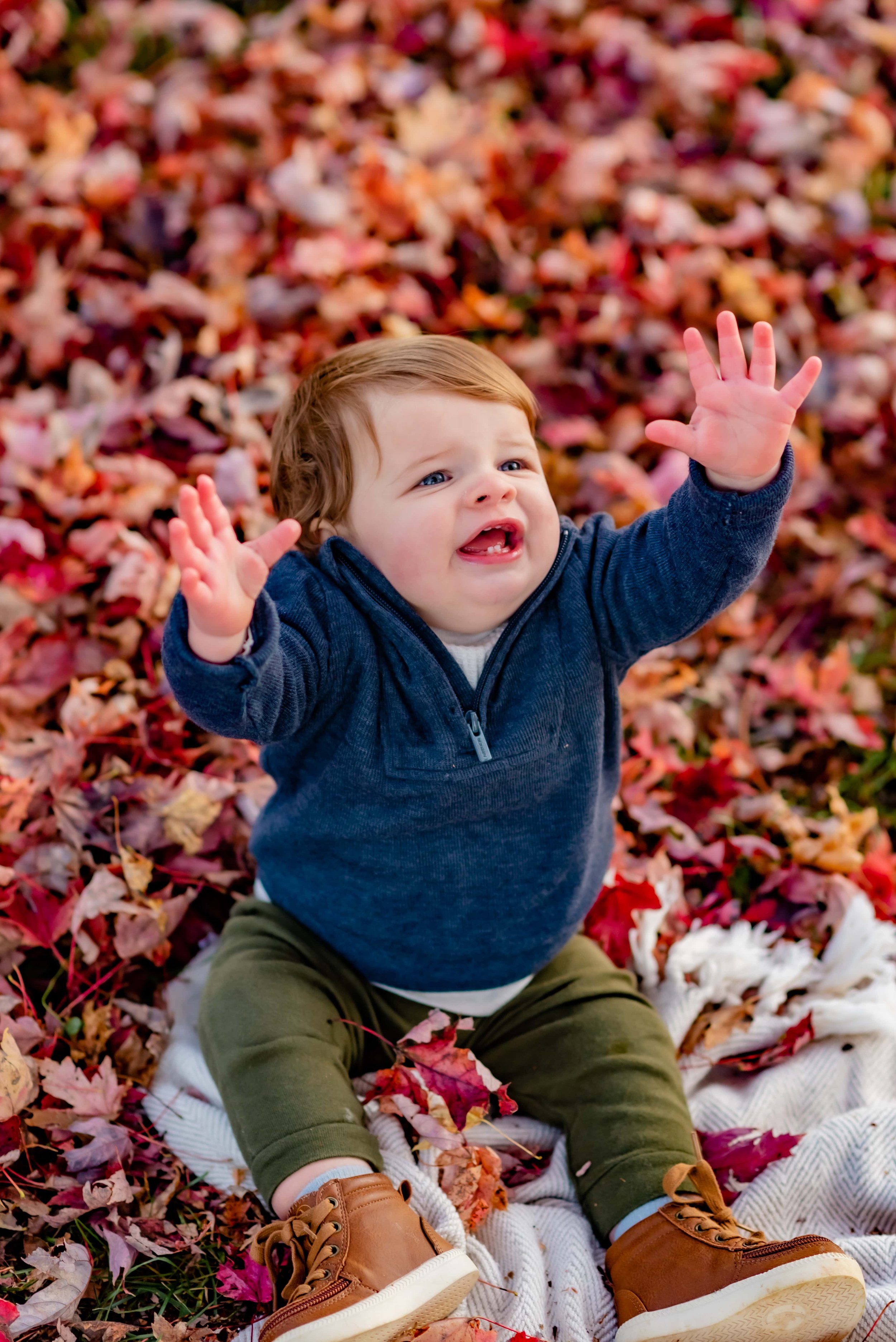 Maryland Fall Family Photo - Toddler Boy Playing In Leaves