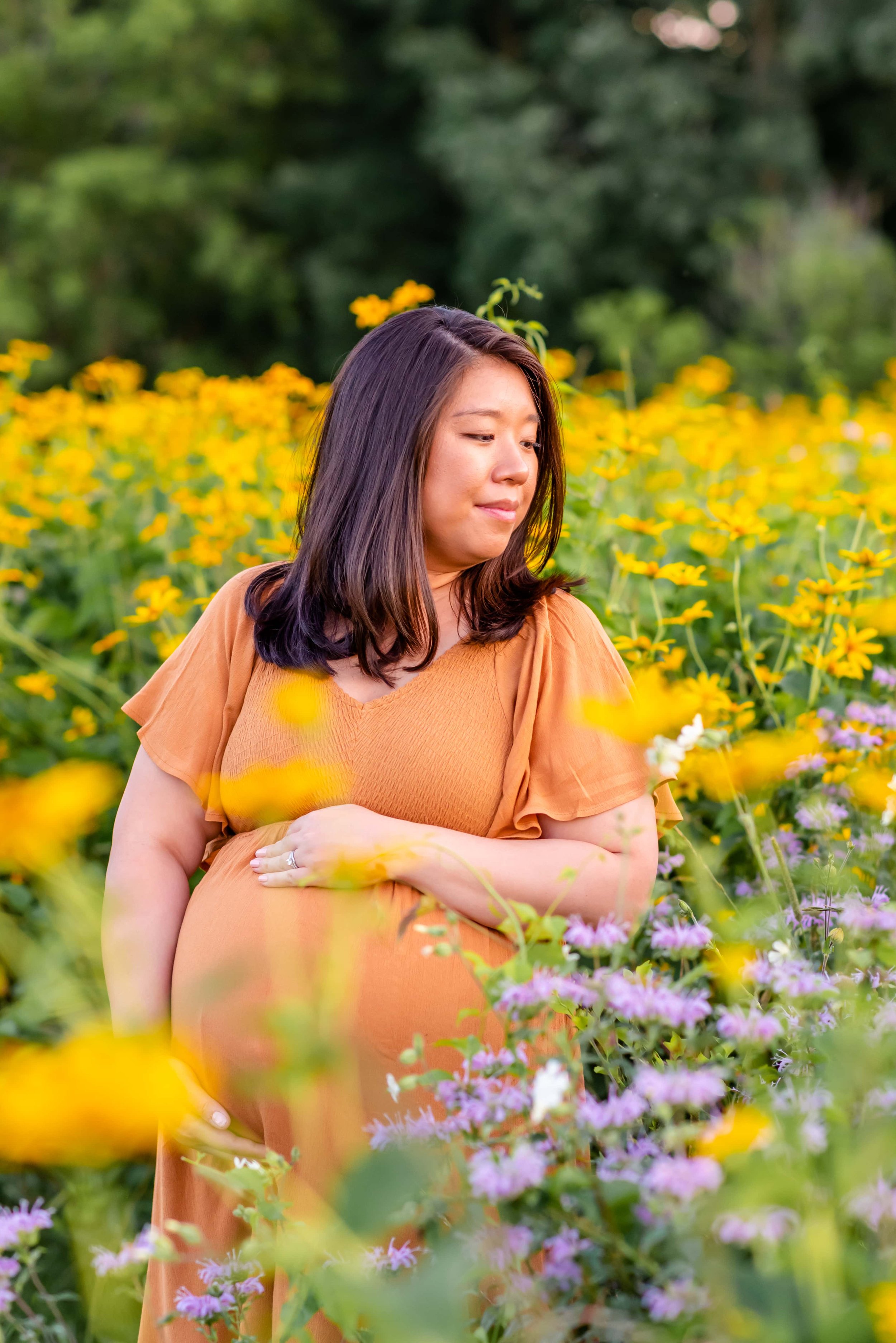 Maryland Maternity Photo in wildflowers at sunset