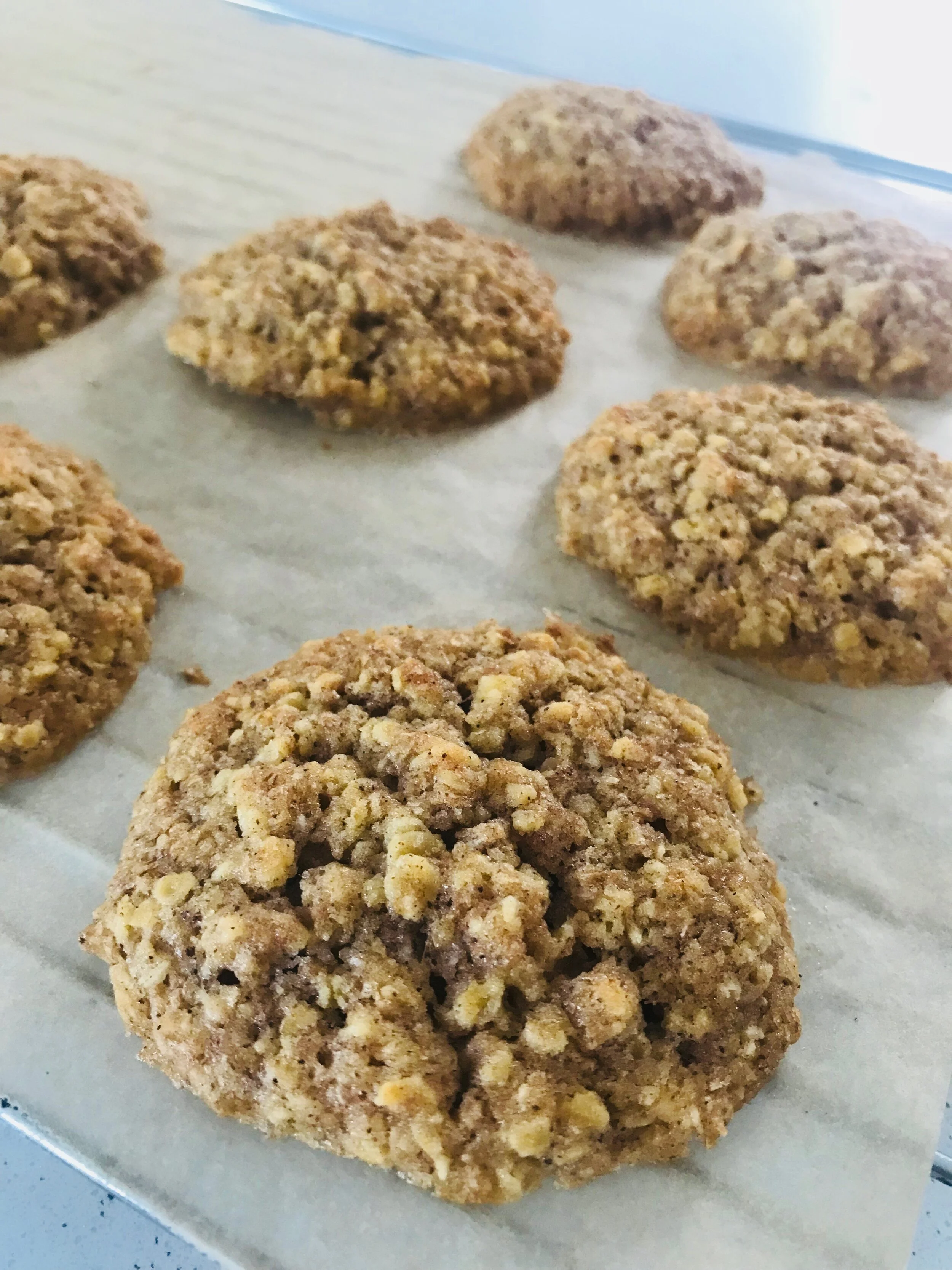 Delicious Accidentally Vegan Oat Cookies