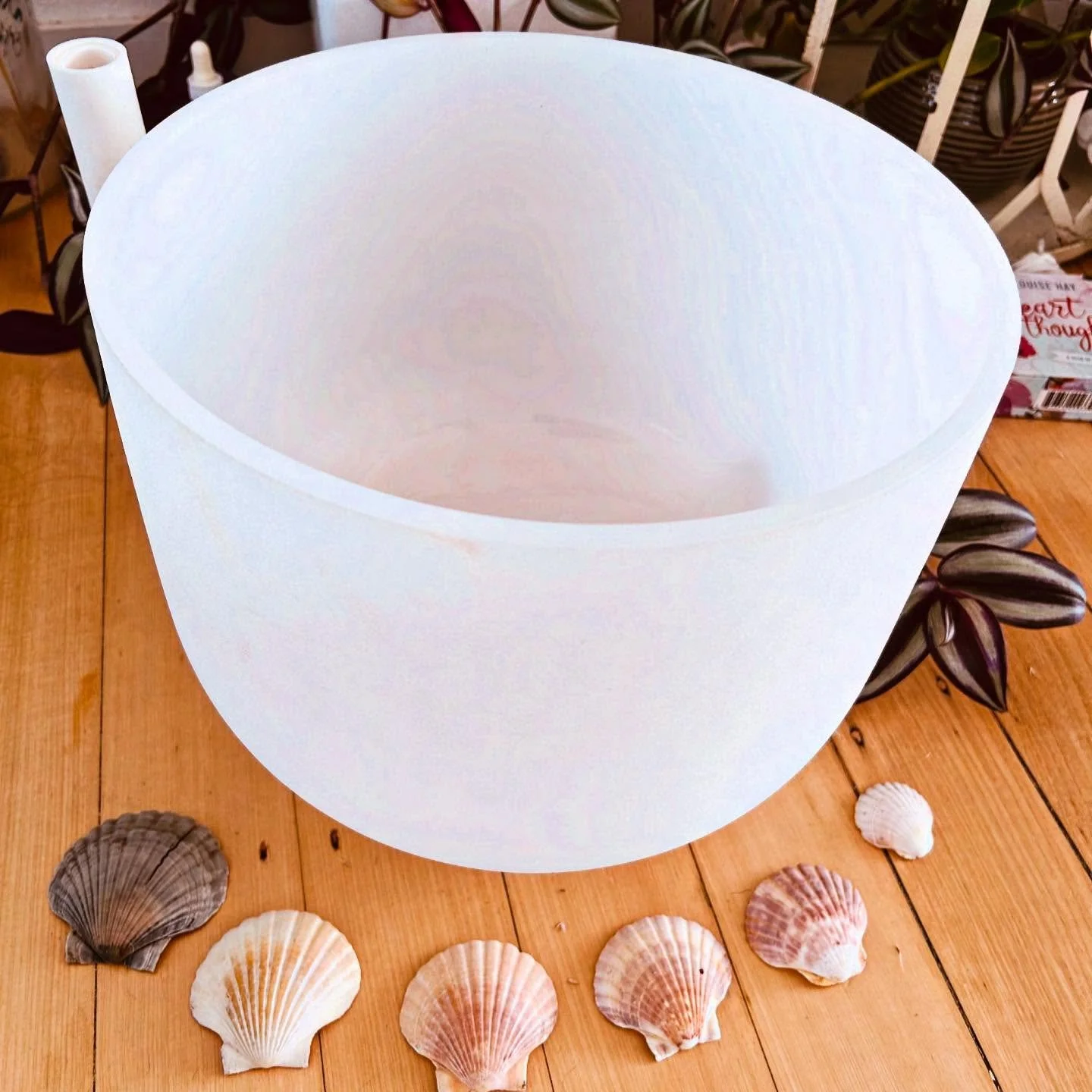 ✨Winter workshops✨

We have two more wonderful offerings to help get you through the depths of winter with a balanced nervous system, a clear mind and rested body ❄️ 

💫Yoga Nidra &amp; Sound Journey Sunday 17 August 2.30pm with @soul.stillness_ 

?