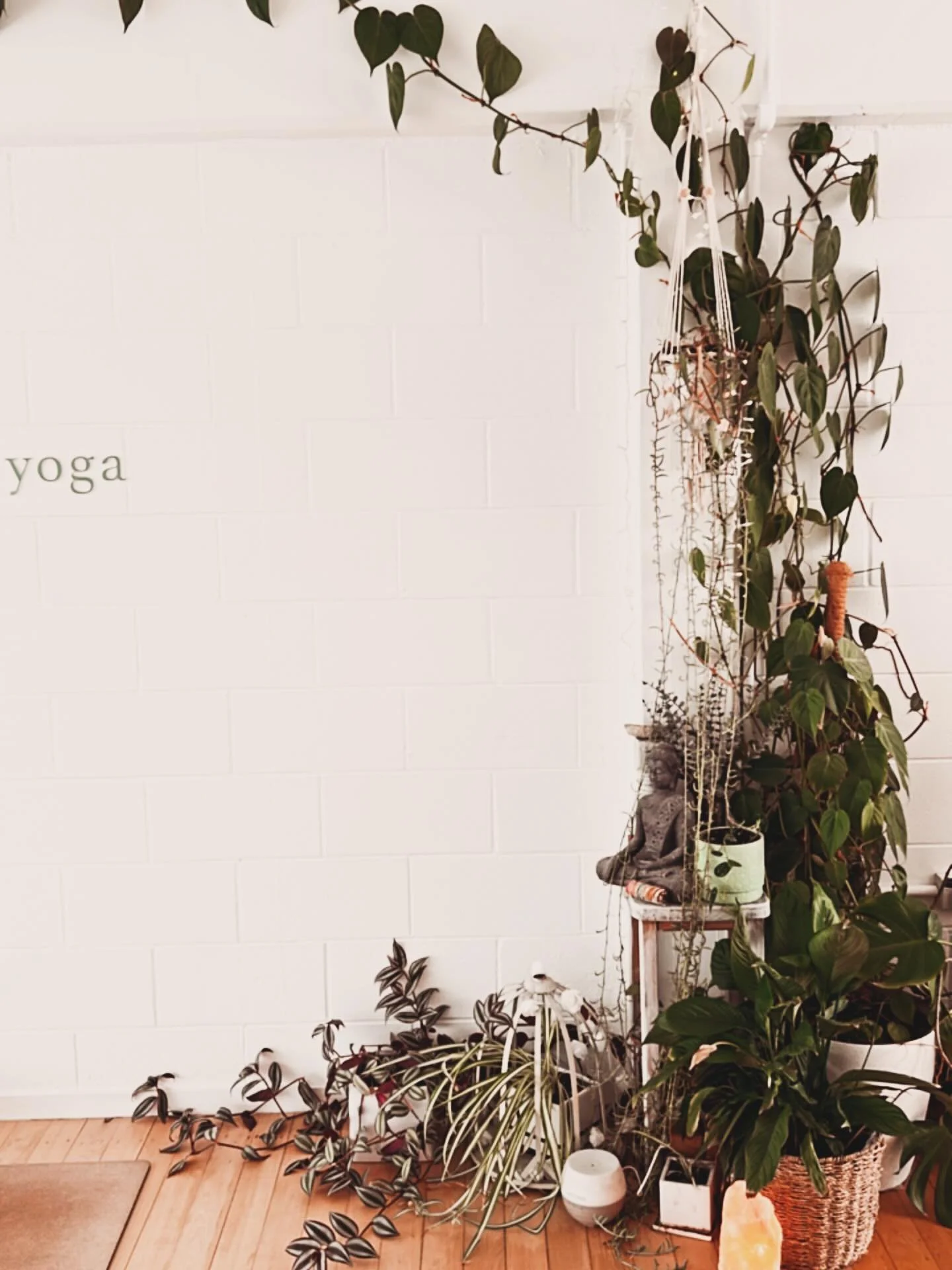 Flowing our way into the weekend ✨💫🤍

Saturday 
8am all levels flow 
9.15am dynamic flow 
10.30am pregnancy yoga 

Sunday 
9.30am slow flow 
5.00pm restorative 

See you on the mat Flourish Fam 🤍