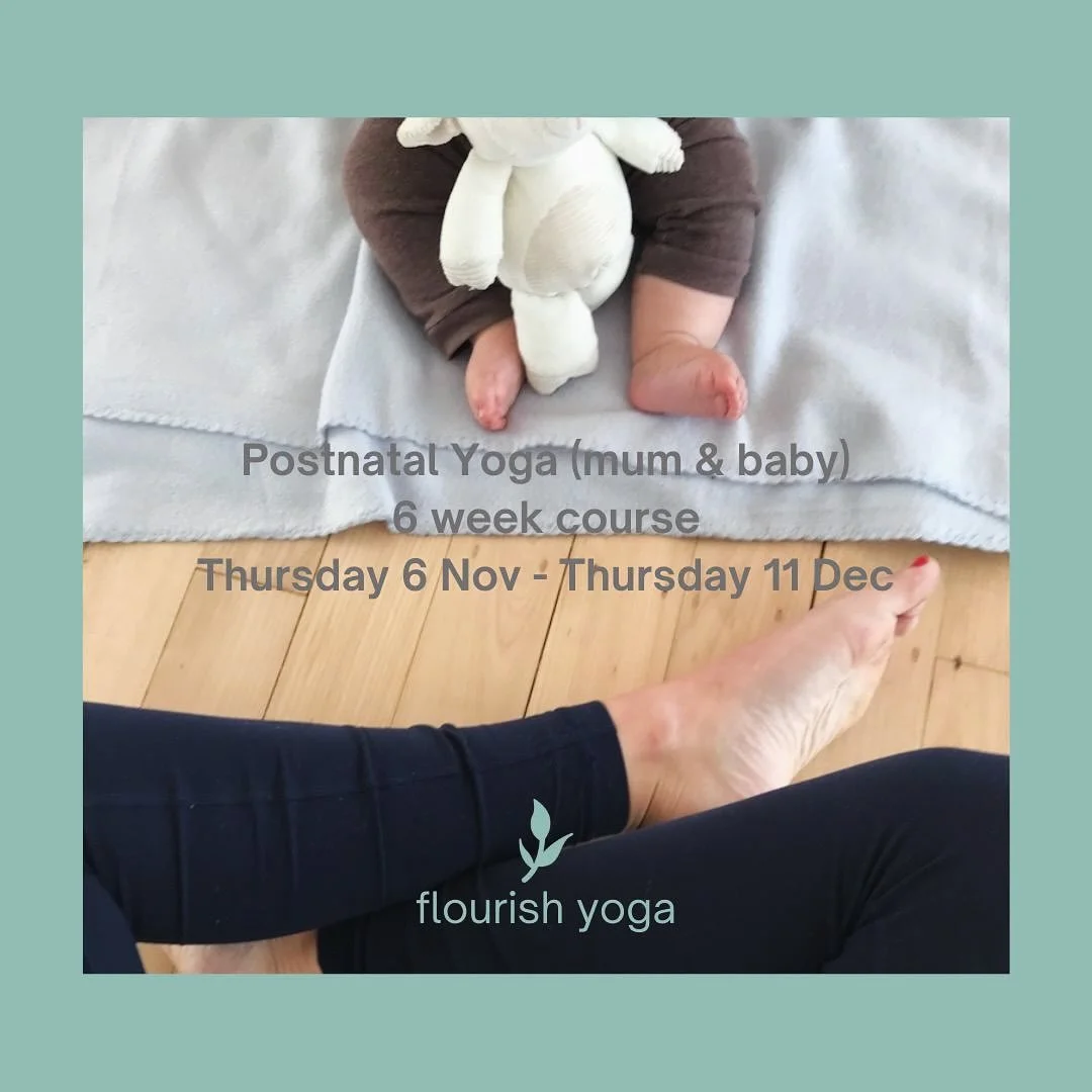 One for our new mamas & their beautiful bubbas 🤍
Postnatal Yoga 6-week course 
On Thursdays from 6 November ✨
Gift yourself some ‘me time’ and enjoy connecting with other mums at this gentle postnatal yoga flow course. 
No experie