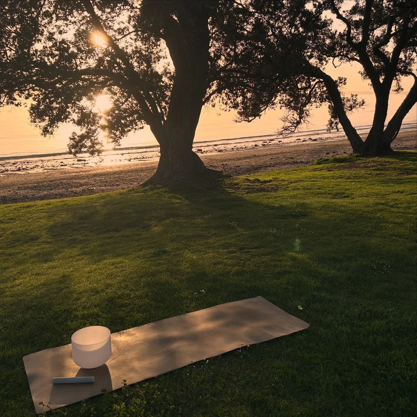 A beautiful sunrise flow for the lovely team at Takapuna Beach Pharmacy 🤍✨☀️