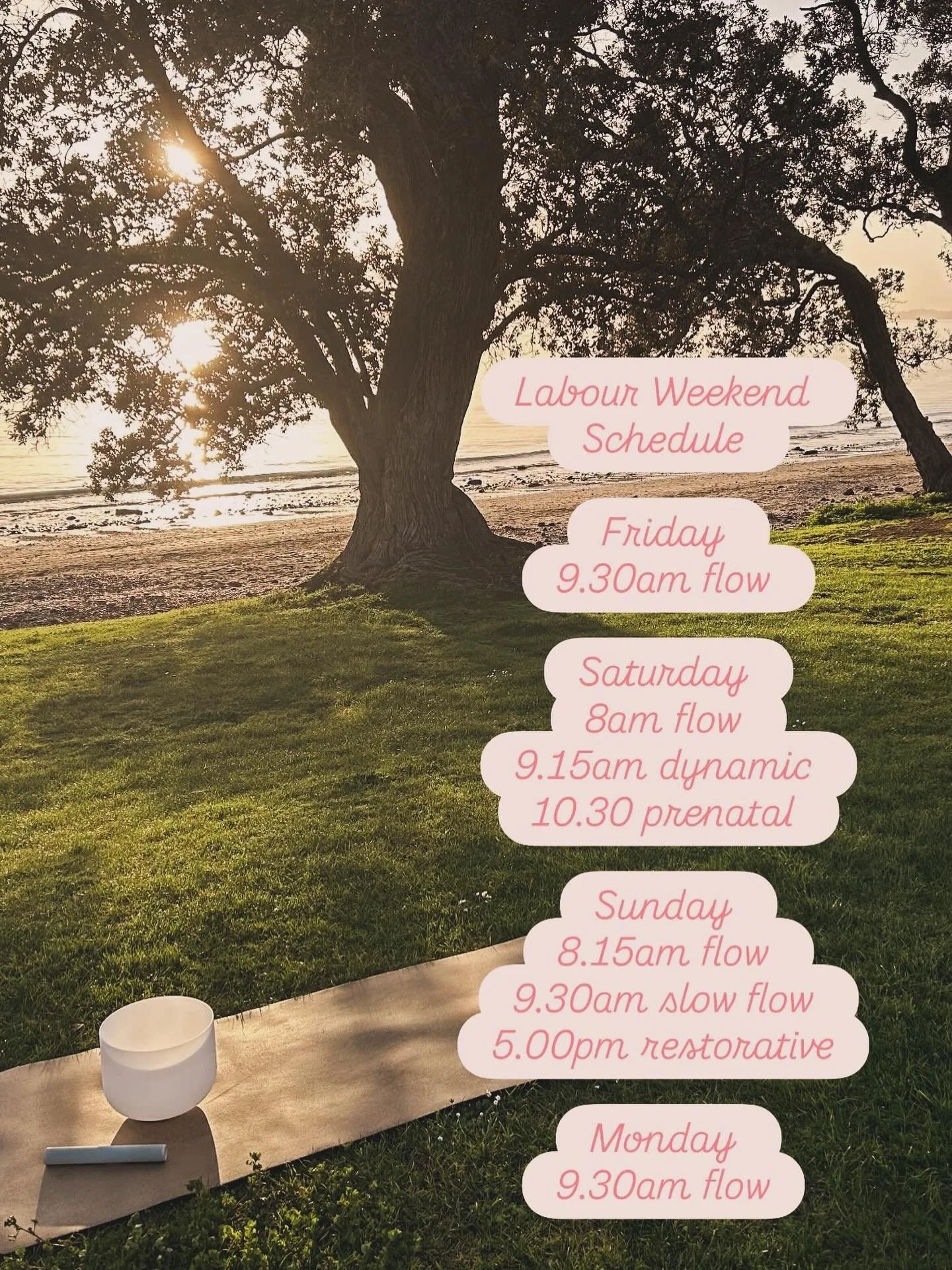 Come keep us company 🤍