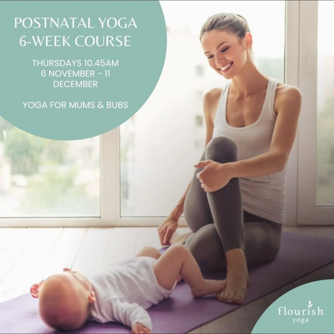 NEW 6 WEEK POSTNATAL YOGA COURSE🤍
Thursdays 10.45am
November 6 - December 11
Join us for a 6 week postnatal yoga course, especially for new mums and their beautiful babies!
This is a baby-friendly, 6-week course for mums, suitable from 6 weeks pos