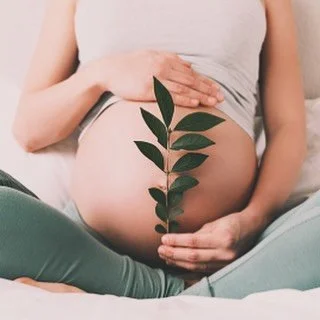 Mamas to be 🍃 
Our last pregnancy yoga class of the year takes place tomorrow (Saturday 20th December 10.30am) ✨

You&rsquo;re so welcome to join any of our slow flow classes over the holidays 🤍 Bonnie, Emma &amp; Alyssa are all prenatally trained 