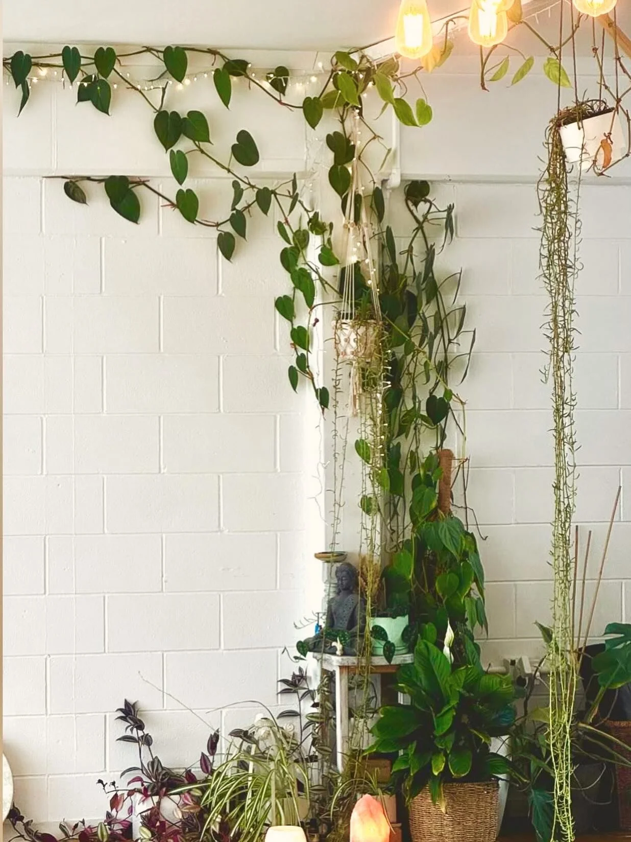 Thank you Flourish Fam 🤍 
We love you guys. 
Merry Christmas 
🎄🎄🎄

(See you back 27-30 Dec for the final flows of 2025!)