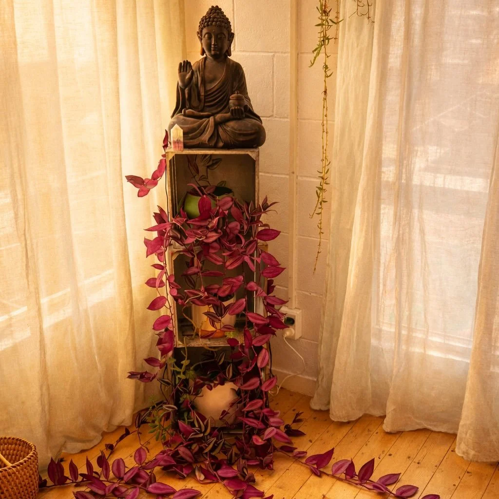 Anzac weekend 💫

Friday 
9.30am flow

Saturday
Normal classes 

Sunday 
9:30am slow flow 

Monday 
9.30am slow flow and sound 

✨✨✨