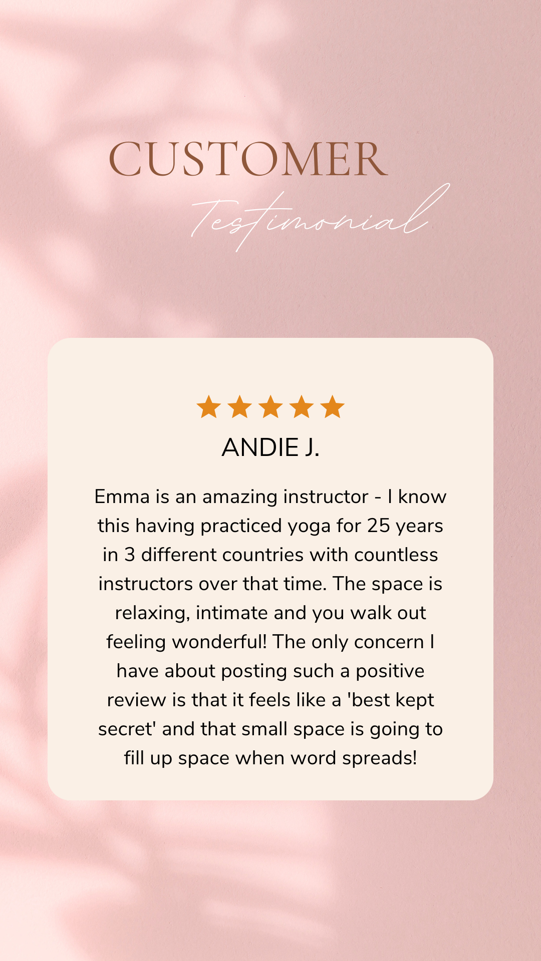 Beige 5 star Customer Review Testimonial Instagram Story (9).png