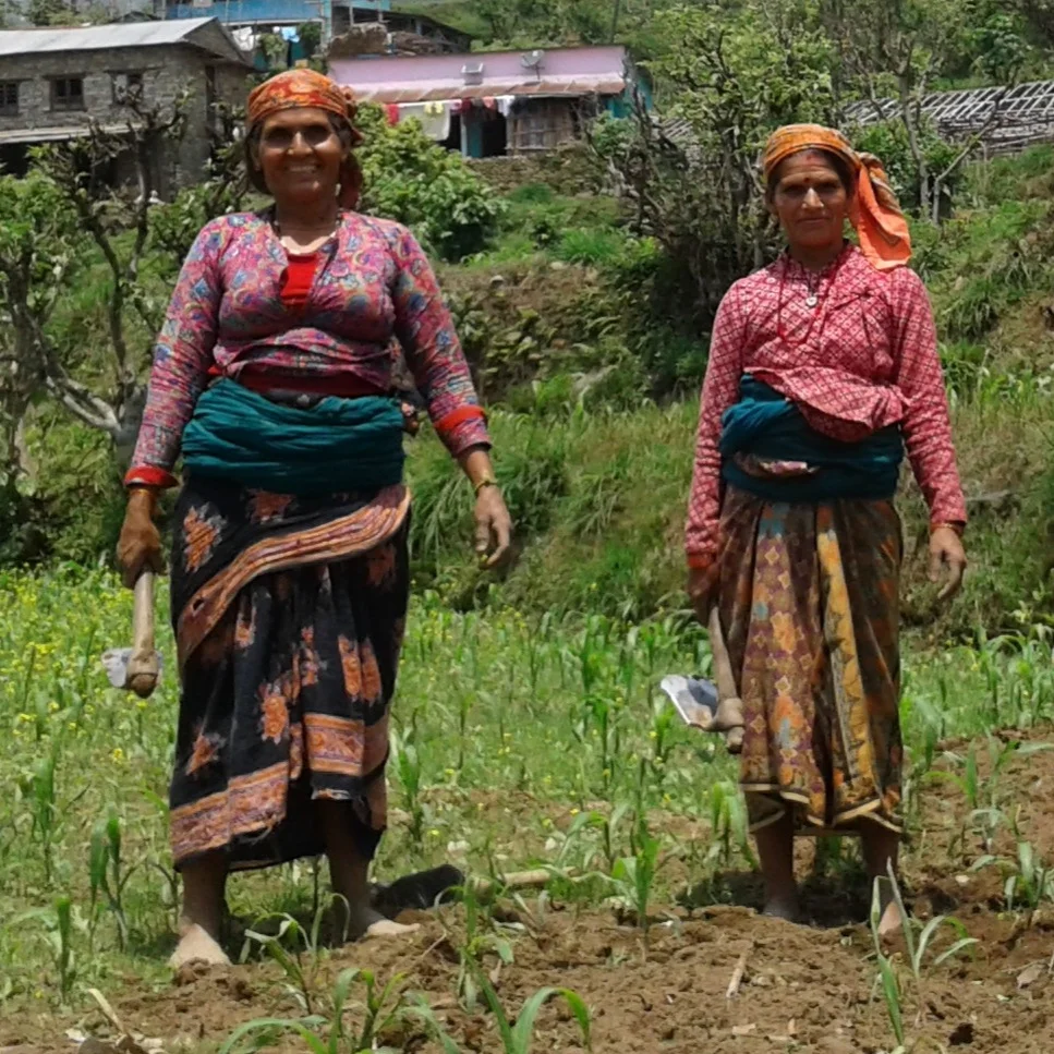 women-in-the-field.jpg