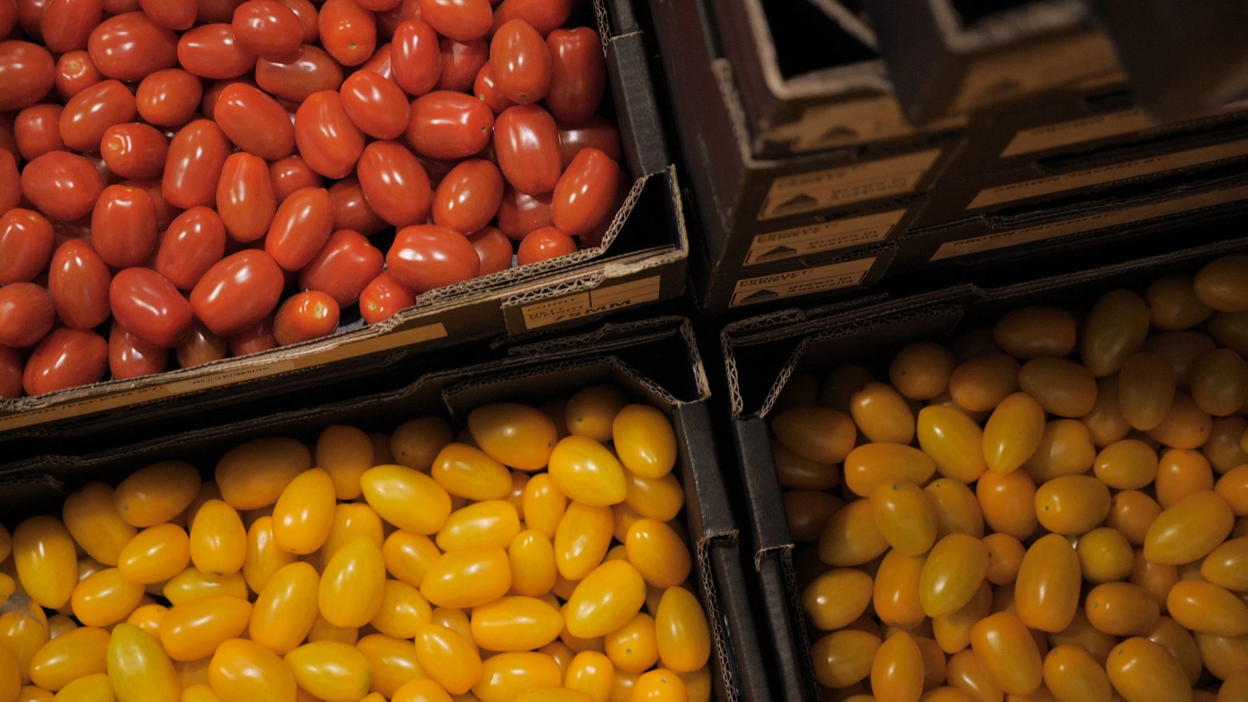   Discover   The Northern Adelaide Plains 