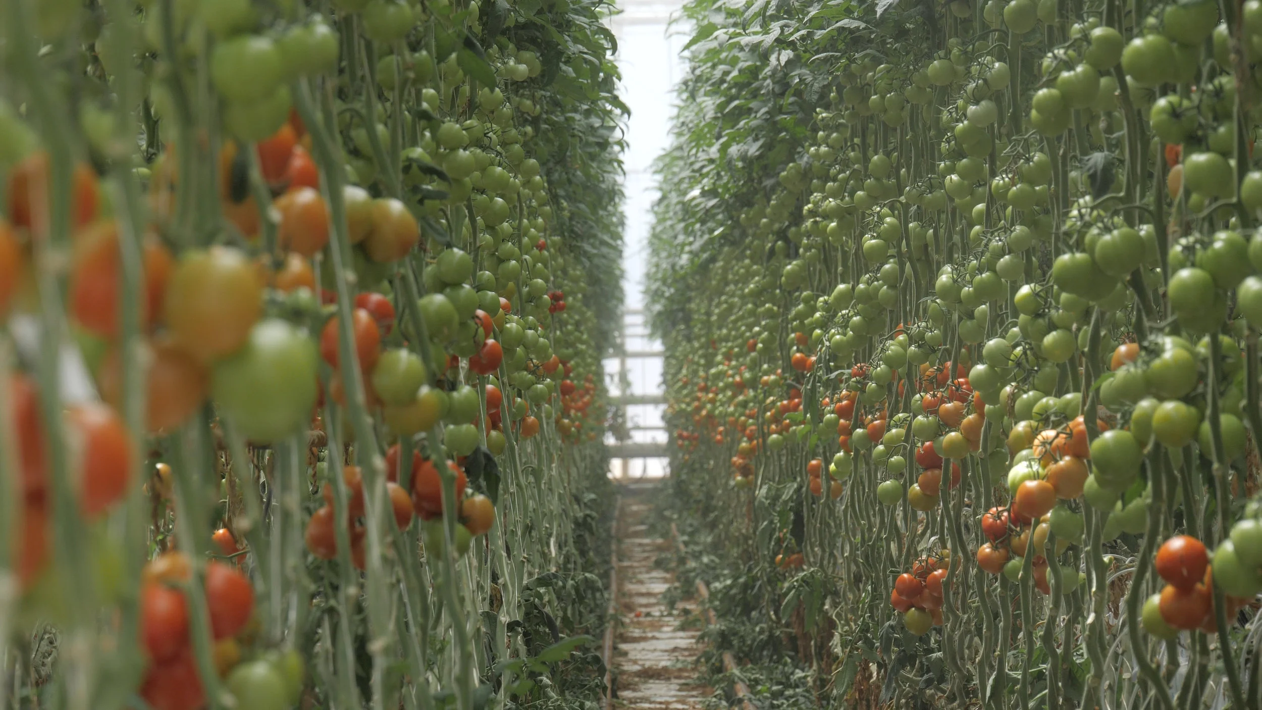   Discover   The Northern Adelaide Plains 