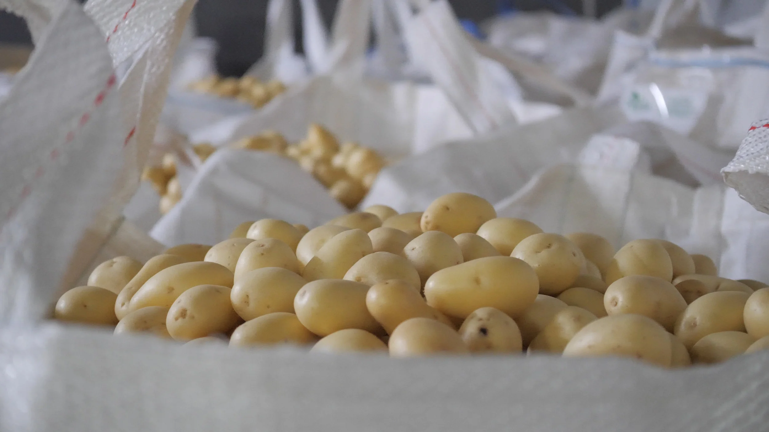   Discover   The Northern Adelaide Plains 