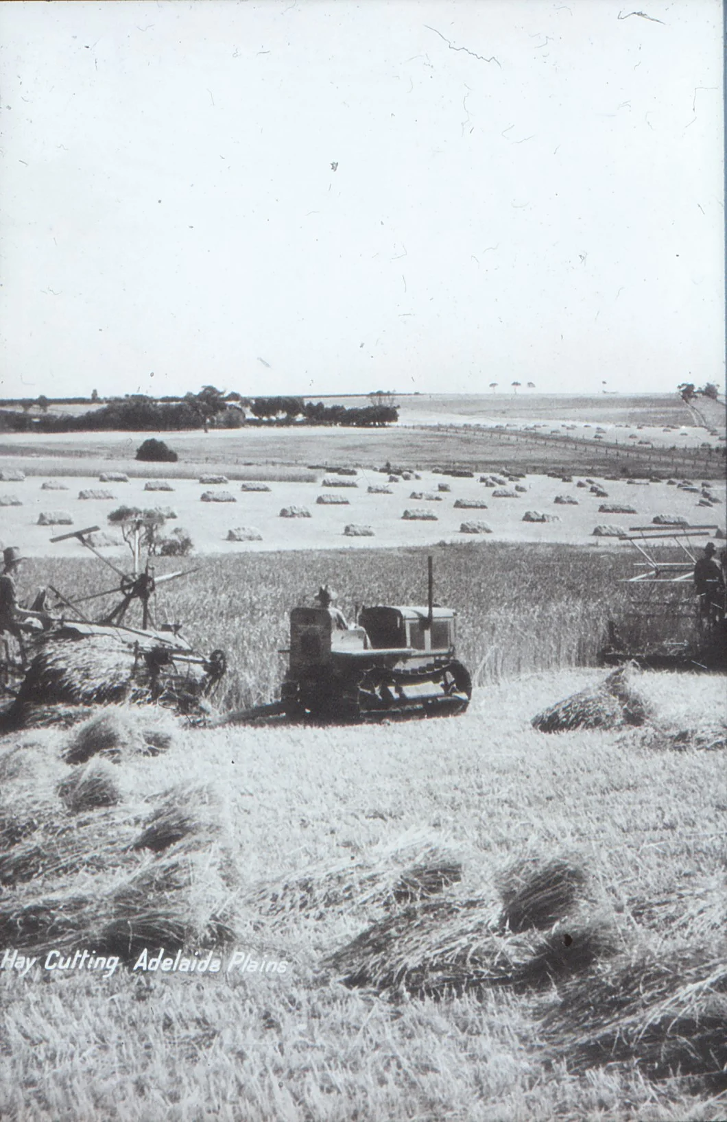   Farming History   of the Northern Adelaide Plains 