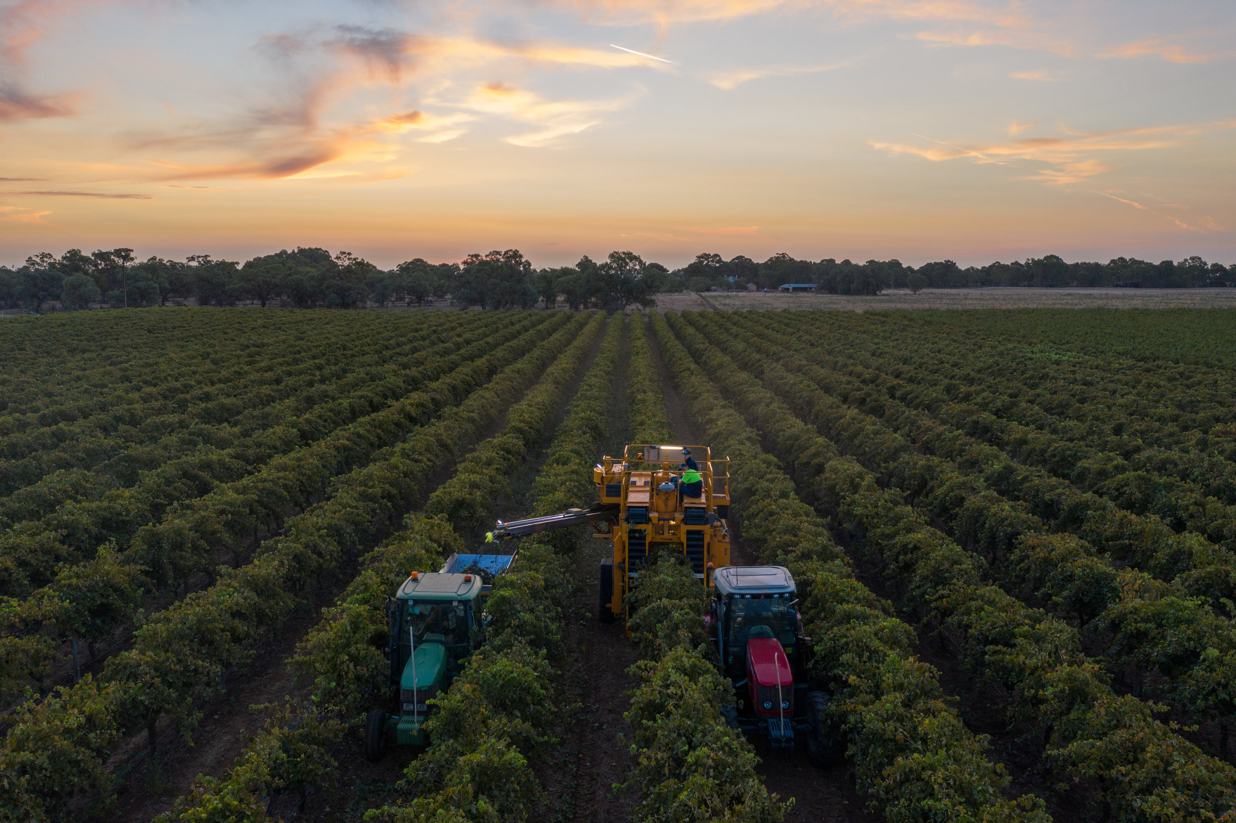 2019.02.28 - Pure Vision Wines-15.jpg