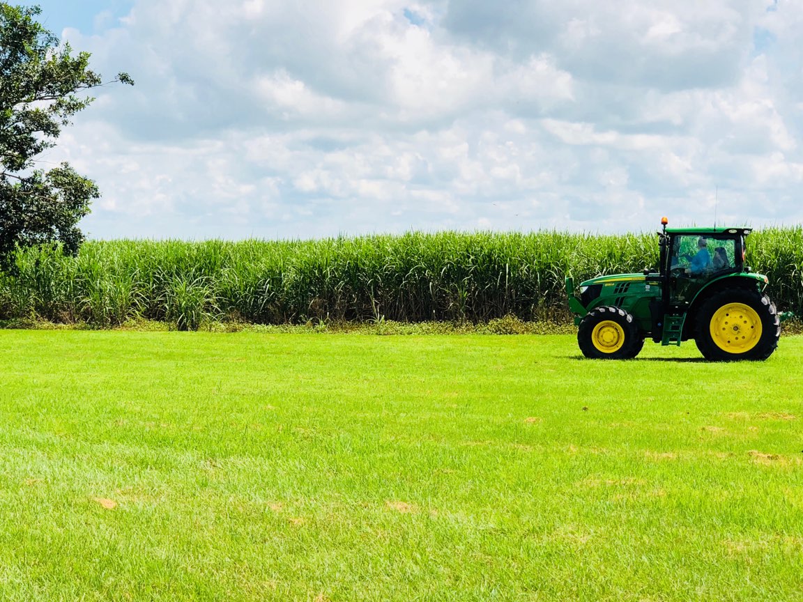 Farm Labor - Cane