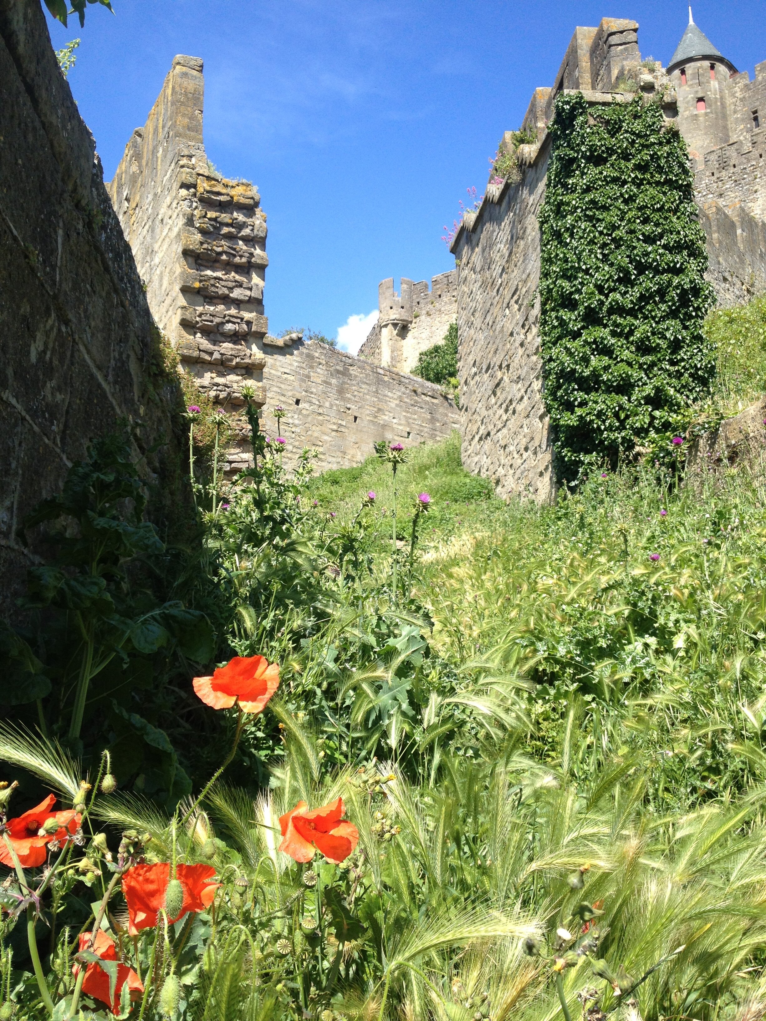Entering Carcassone from the exit .jpeg