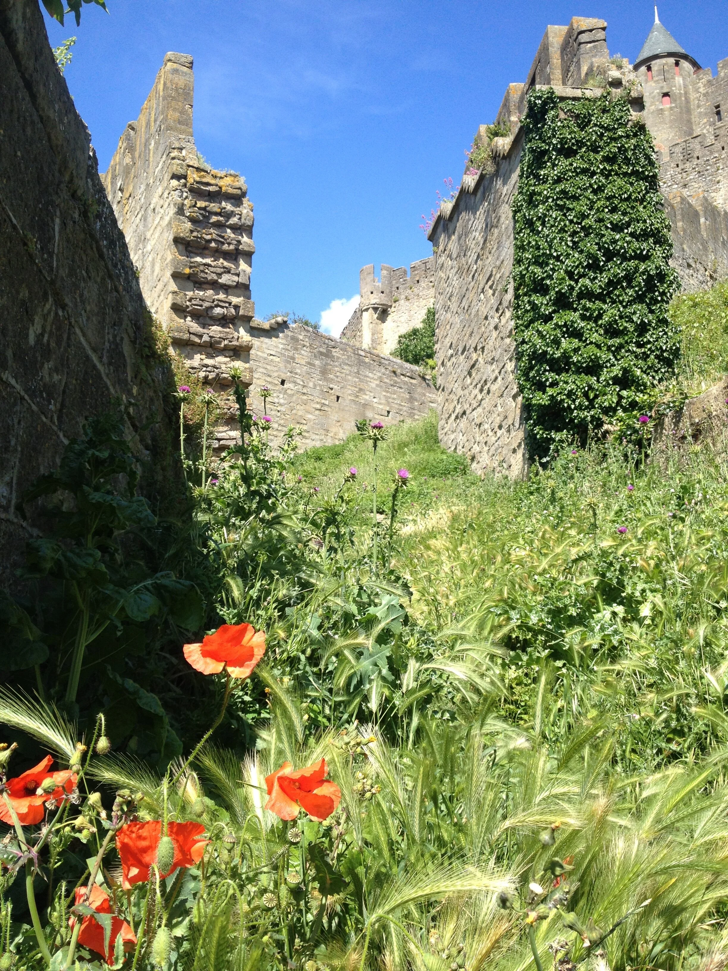 The Fortified Medieval Castle of Carcassonne