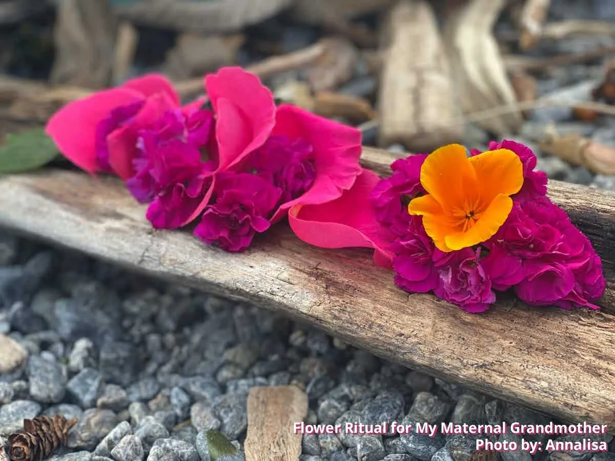 June 2021 Newsletter