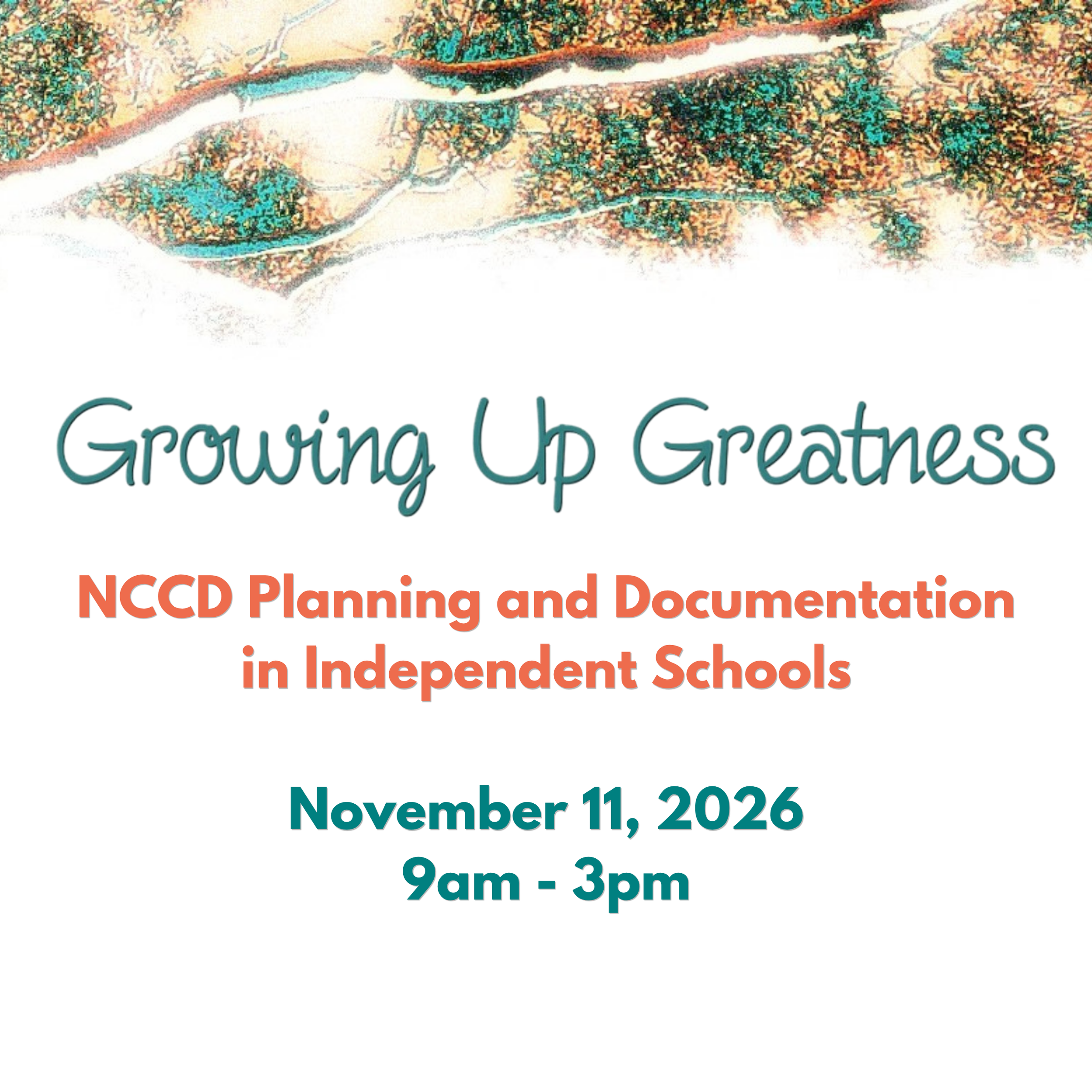 NCCD Planning and Documentation in Independent Schools