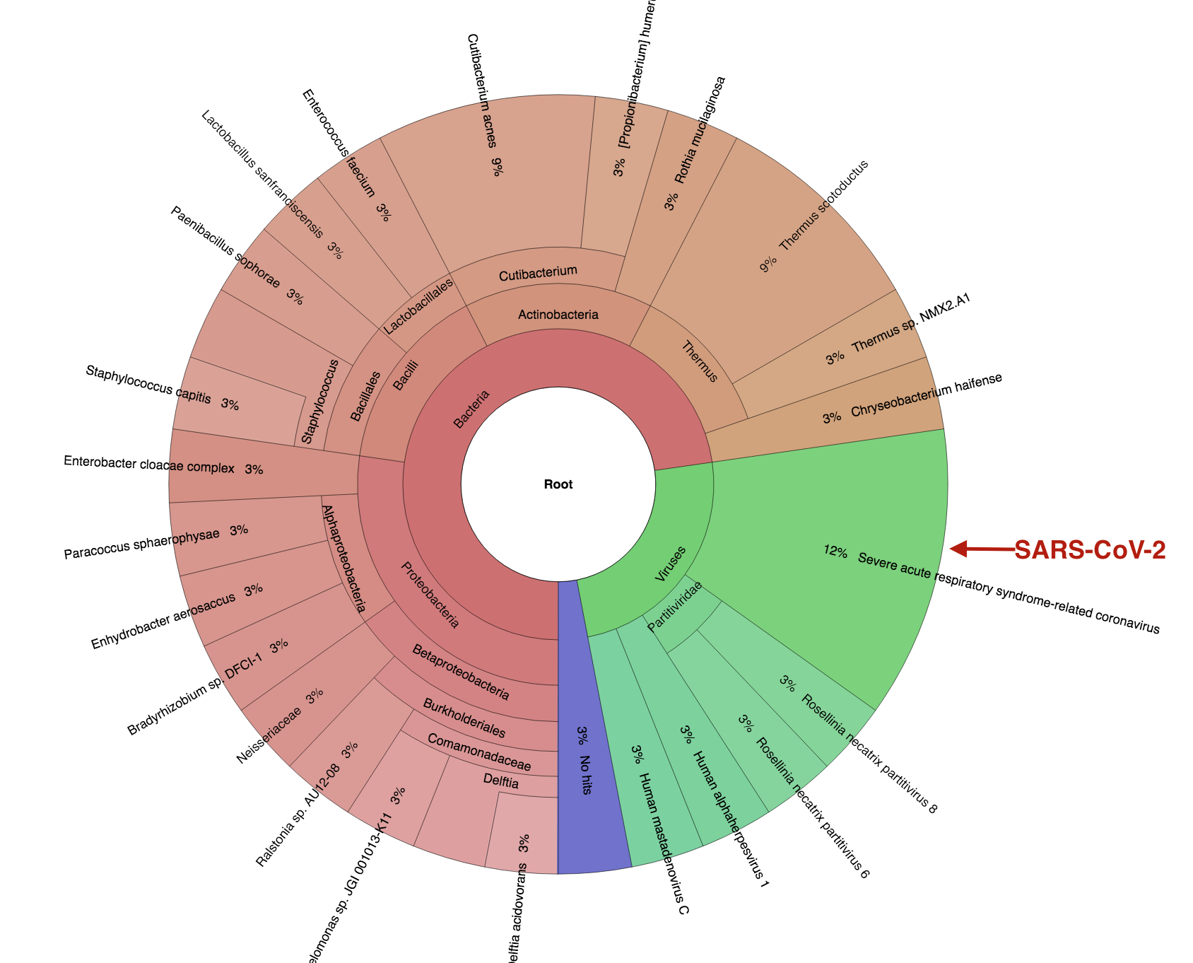 Figure 5 Krona plot showing bacteria and viruses in a single COVID-19 patient BAL metagenomic sample (analysis from app.cosmosid.com)