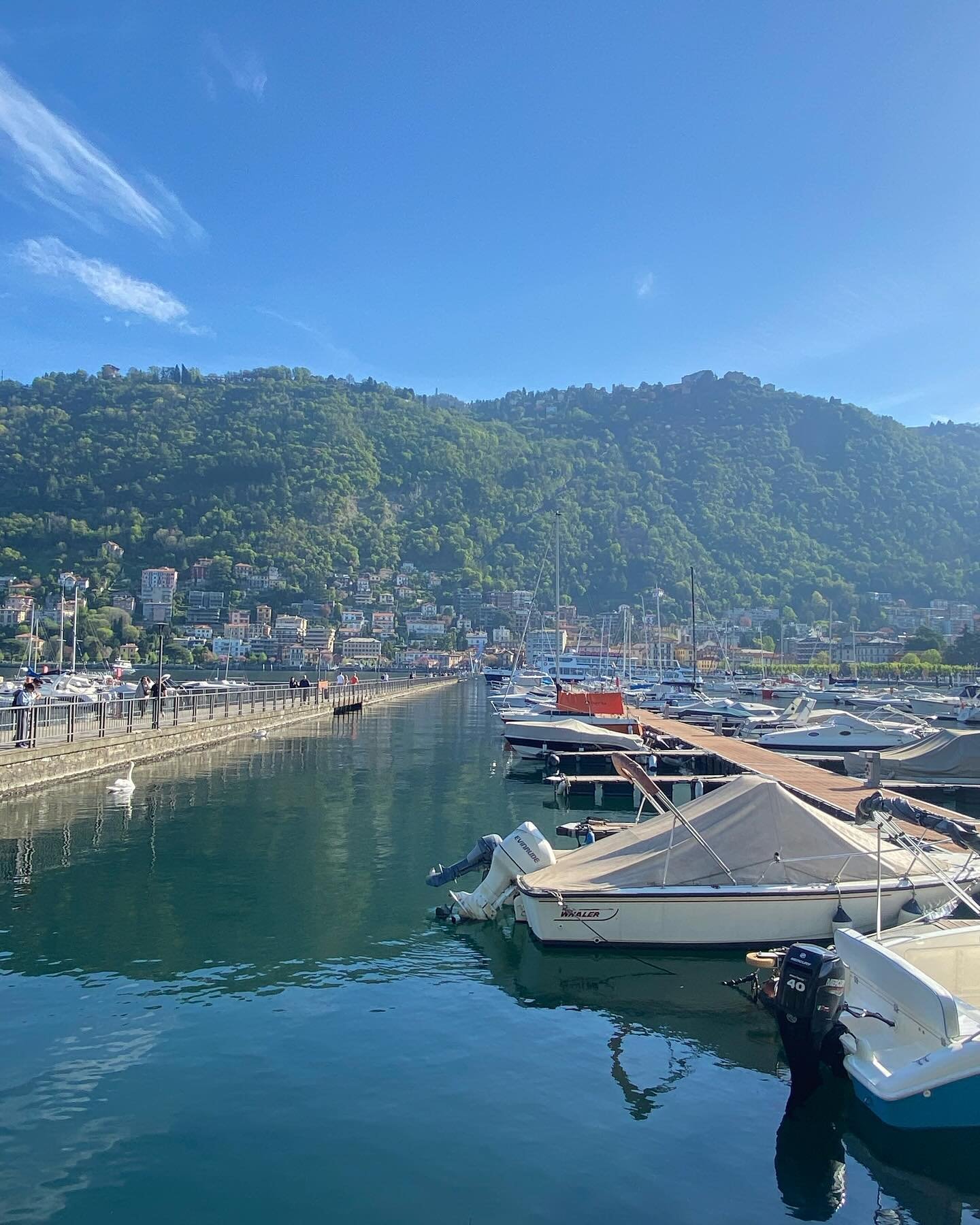 2nd phase of the @hettichnz tour in @lake_como_italy !! The group enjoyed a boat tour on the lake, followed by a tour of a gorgeous Villa and lunch. 
❤️🤍💚🤌🏼#bellissima #eurocucina2024 
Sophia is sharing this magical experience with fellow designe