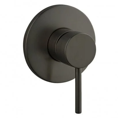 Robertson Elementi Uno Shower Mixer in Gunmetal.jpeg