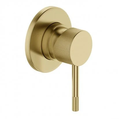 Robertson Elementi Uno Etch Shower Mixer - Brushed Brass.jpeg