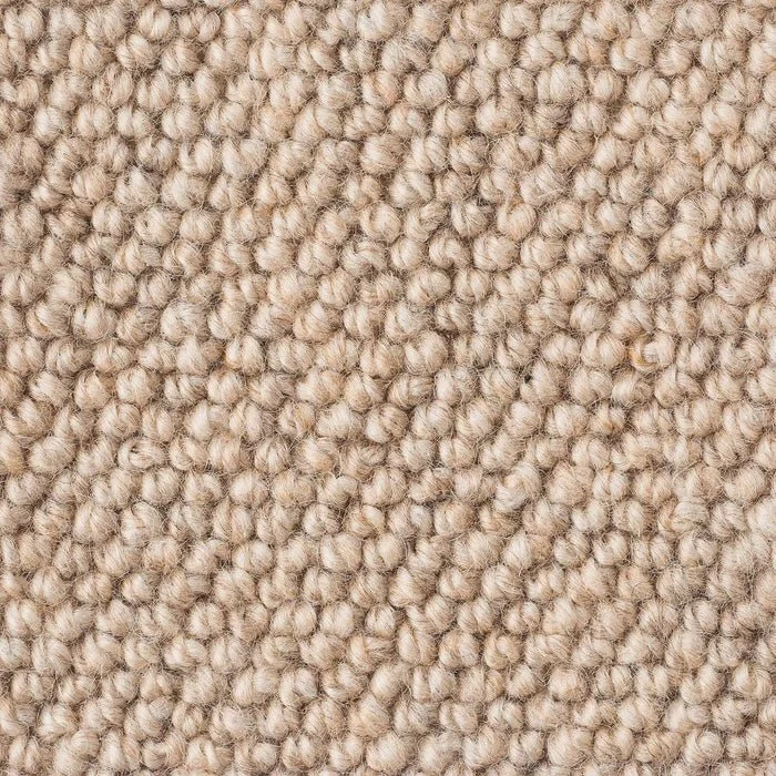 Bremworth Levante Simoon.jpg