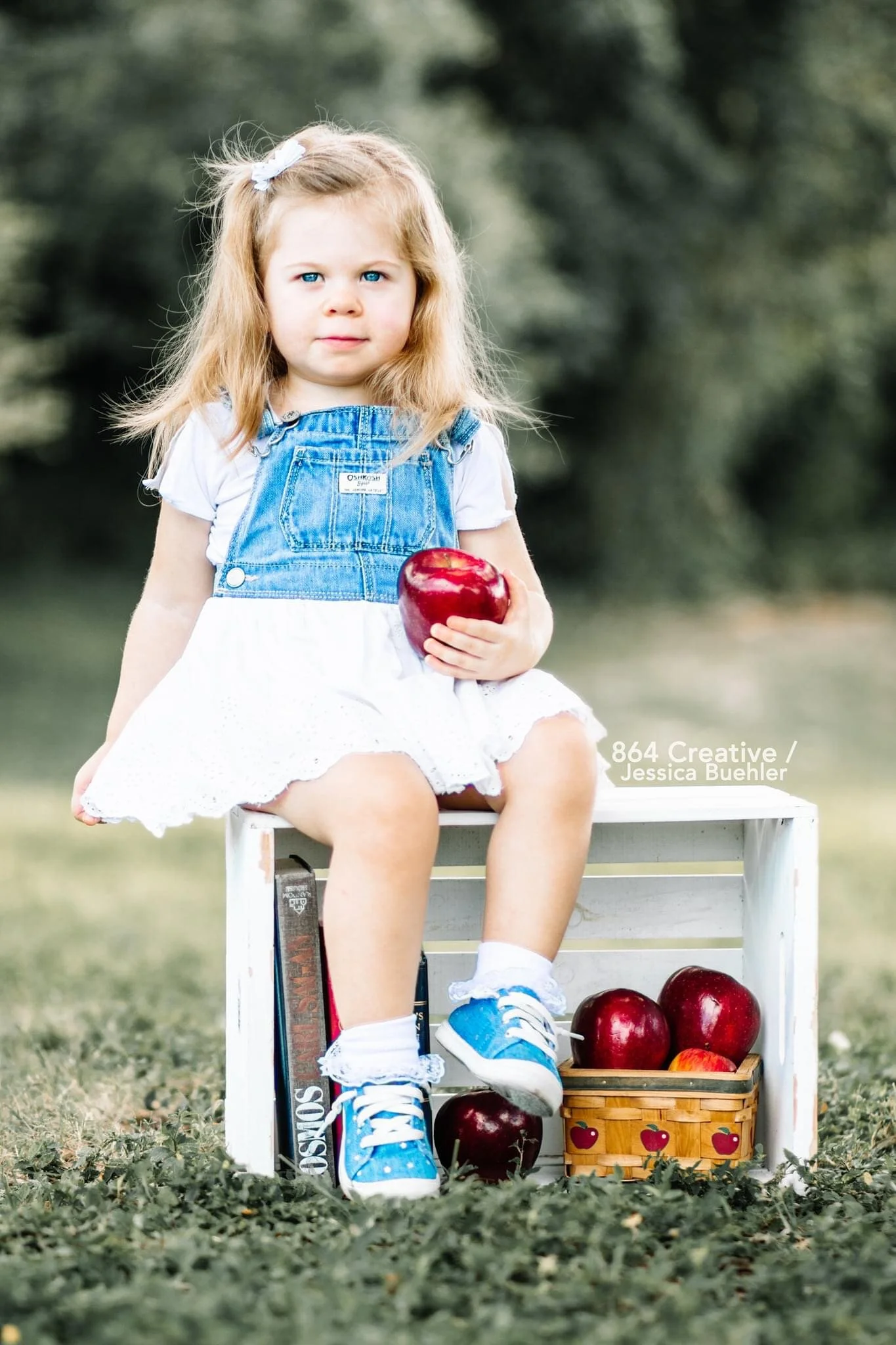Mini Sessions in Bradenton, Florida ♥︎